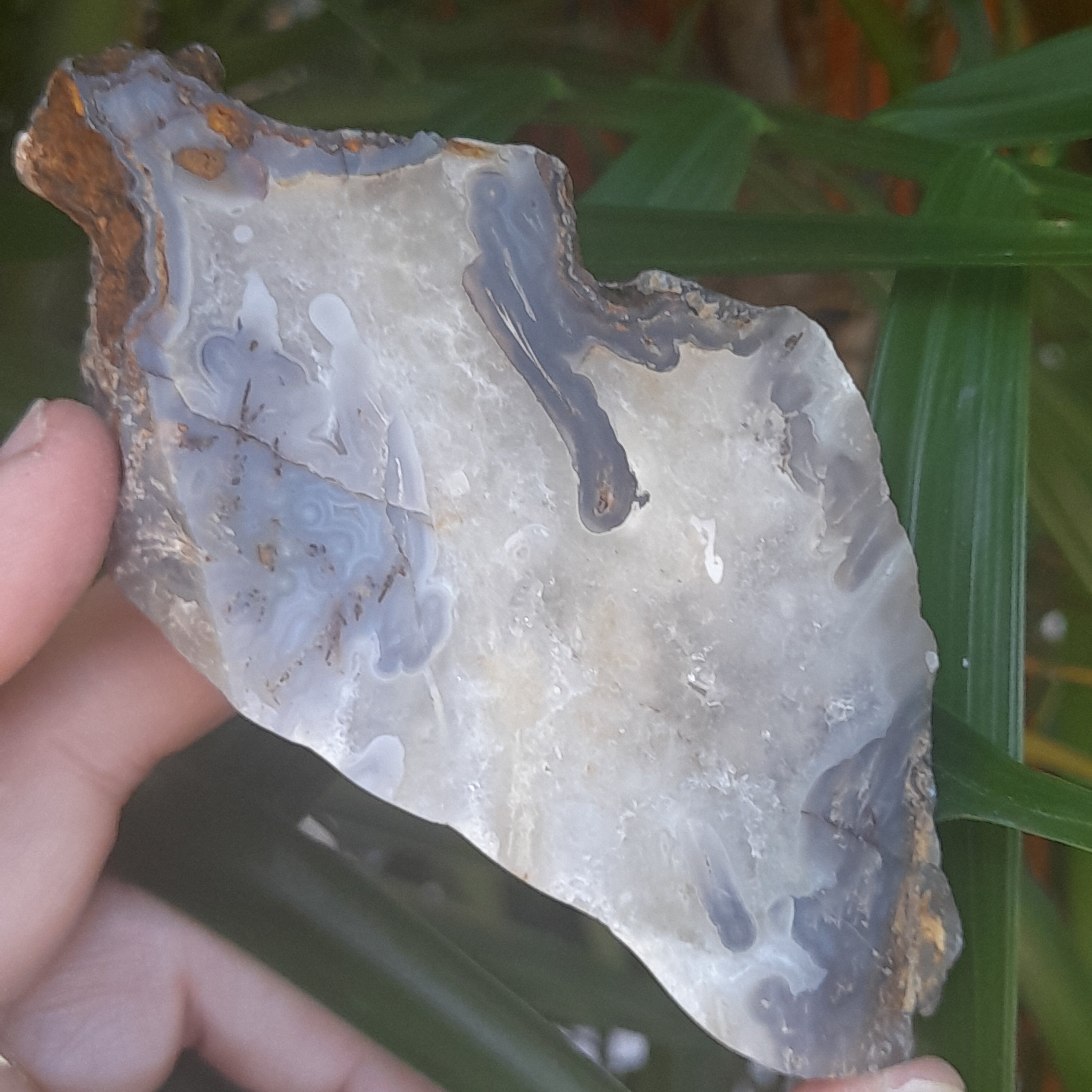Chalcedony ~ Slice