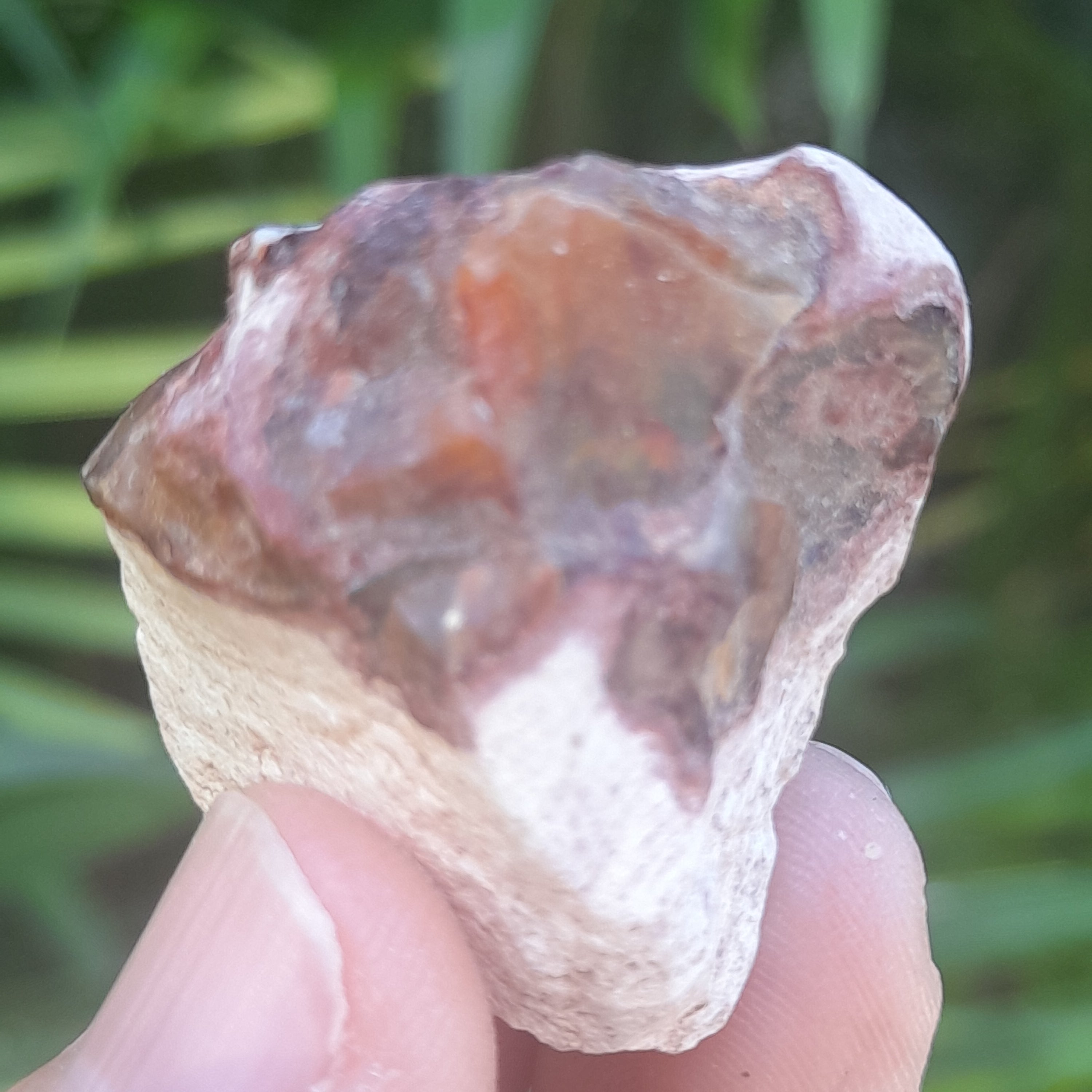 Mexican Fire Opal