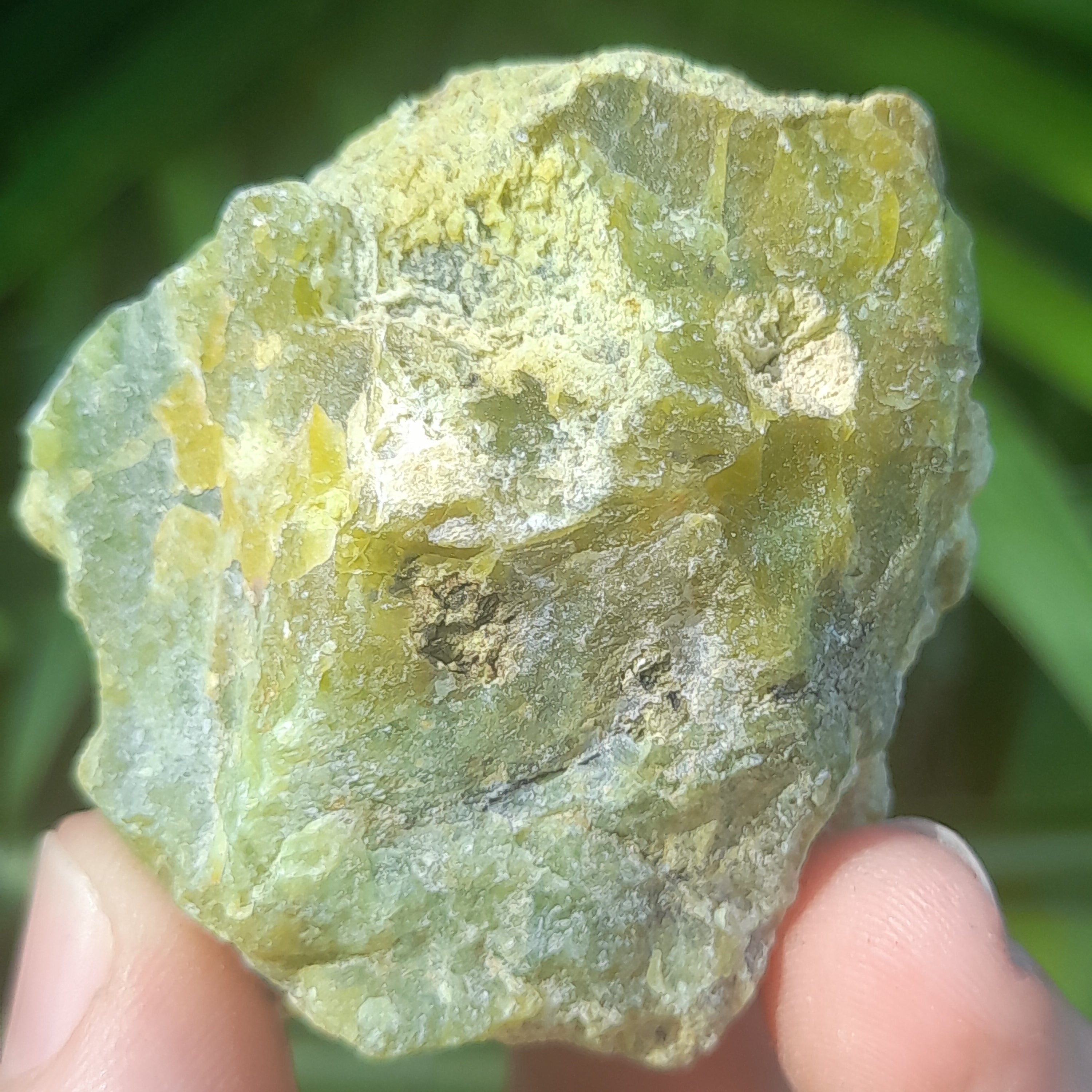 Green Madagascan Opal