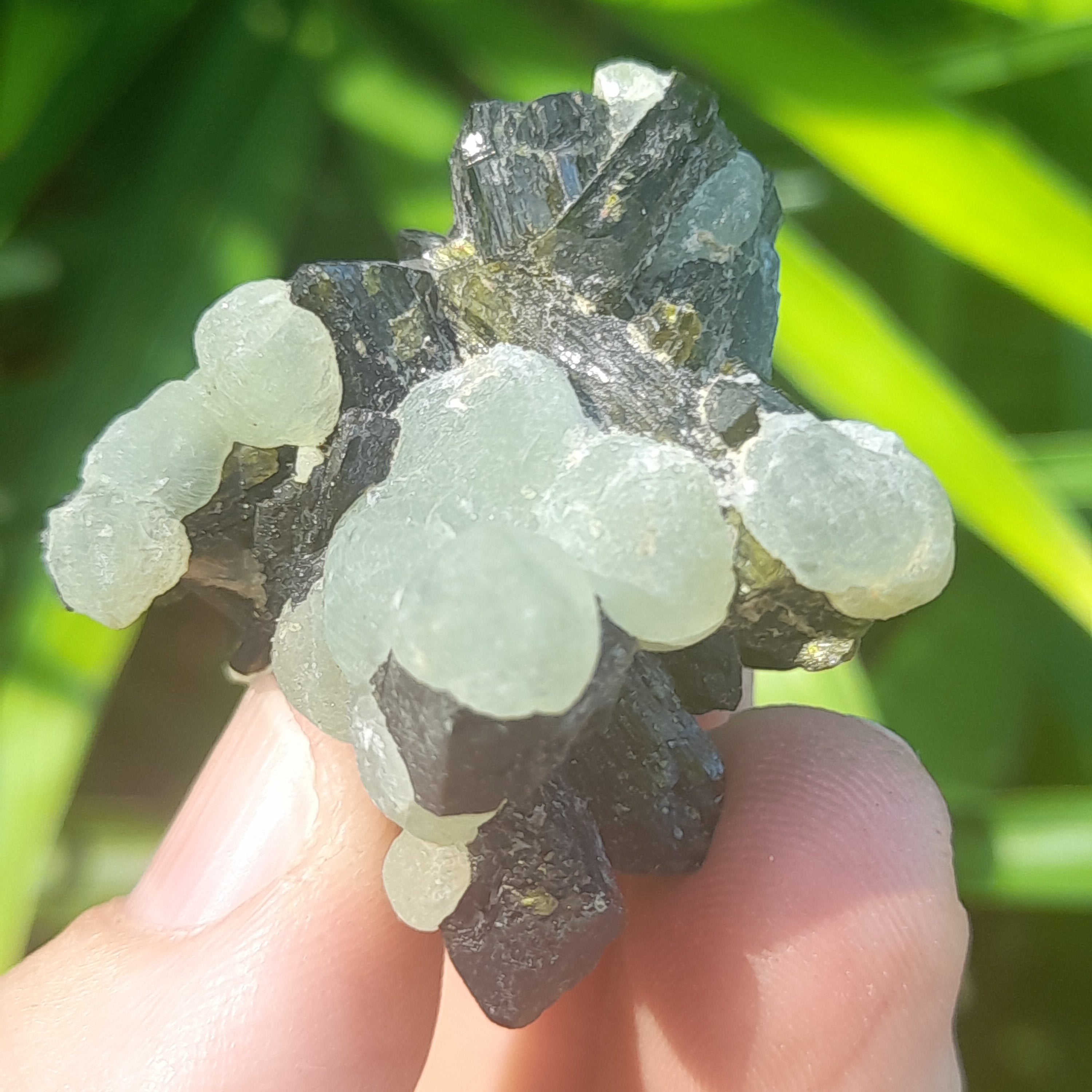 Prehnite with Epidote