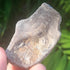 Shell Fossil