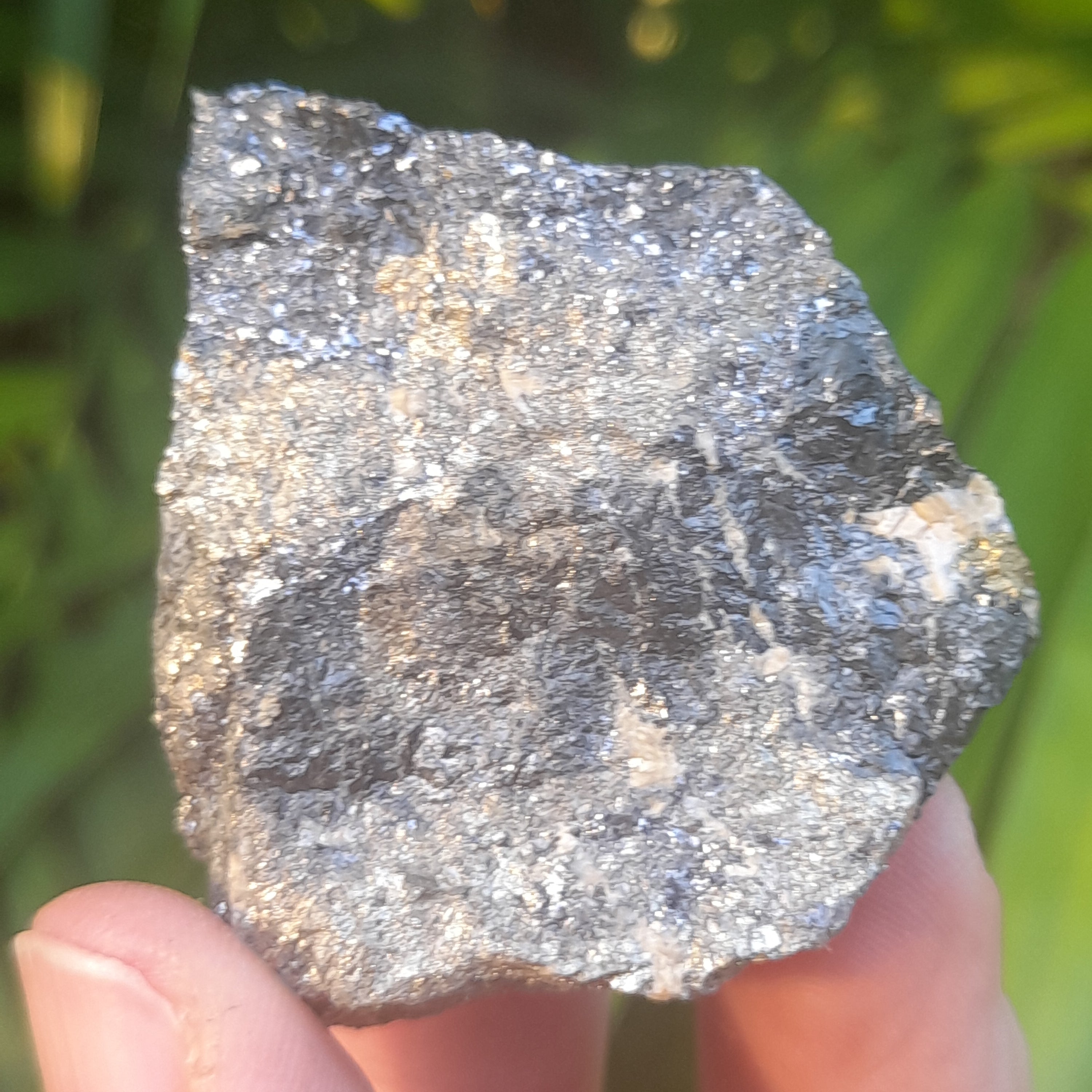 Pyrite & Galena