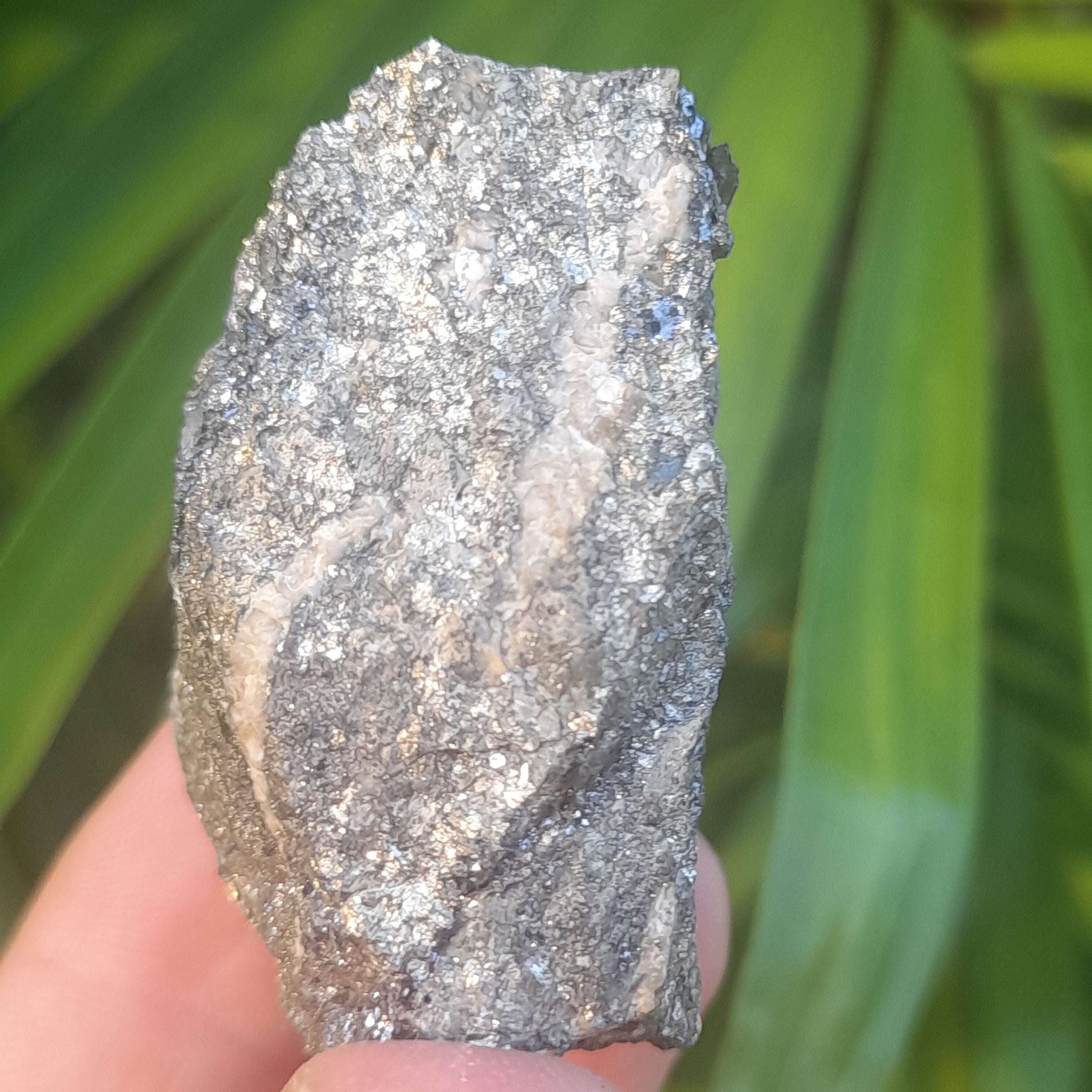 Pyrite & Galena