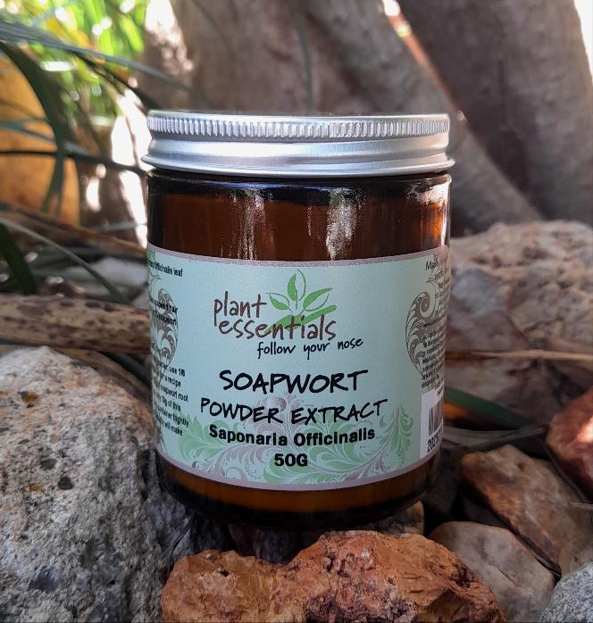 Soapwort Extract Leaf Powder