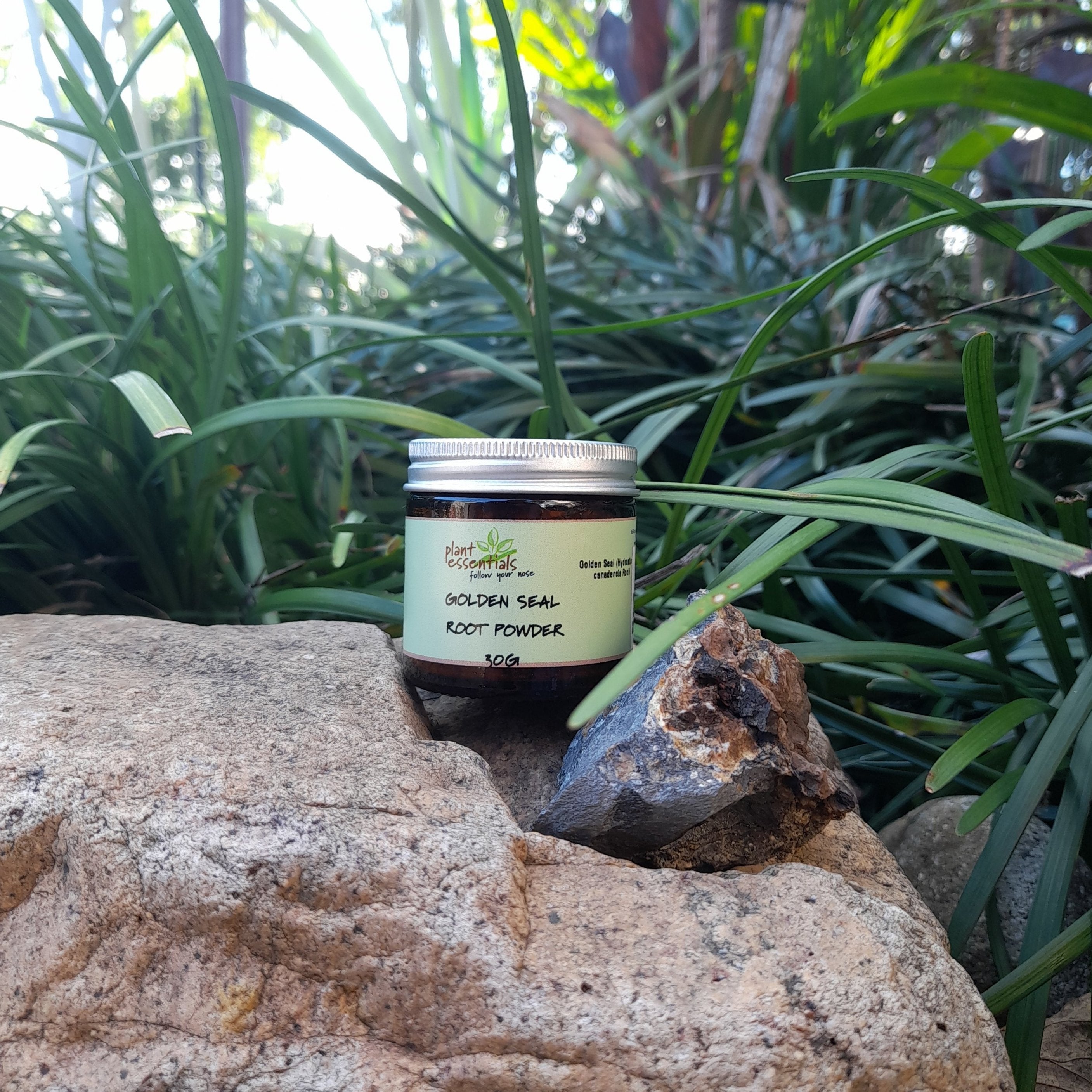 Golden Seal Root powder extract 20:1