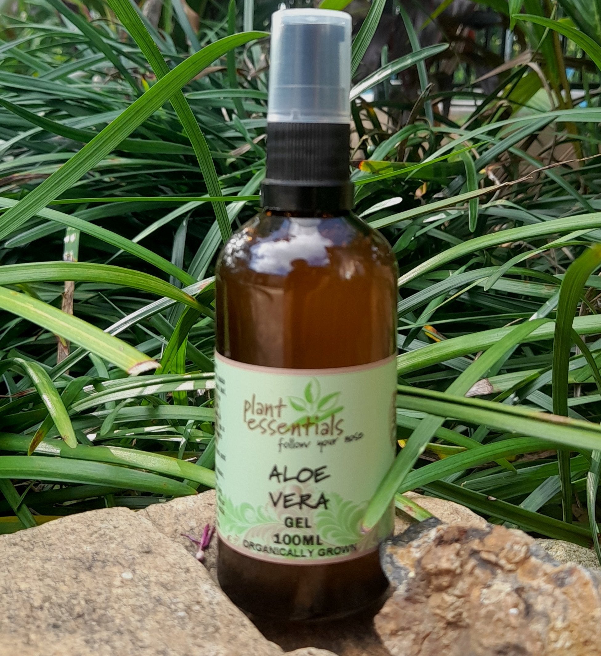 Aloe Vera Gel with colloidal silver