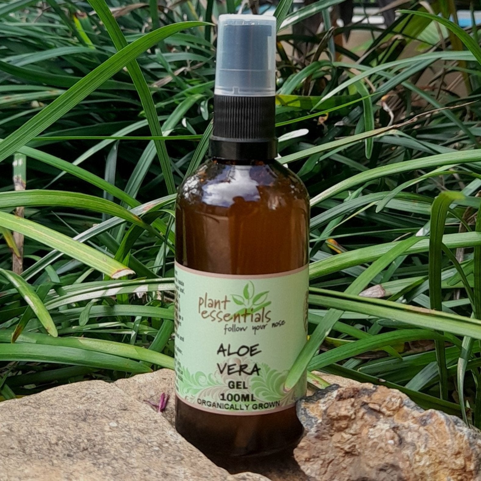 Aloe Vera Gel with colloidal silver
