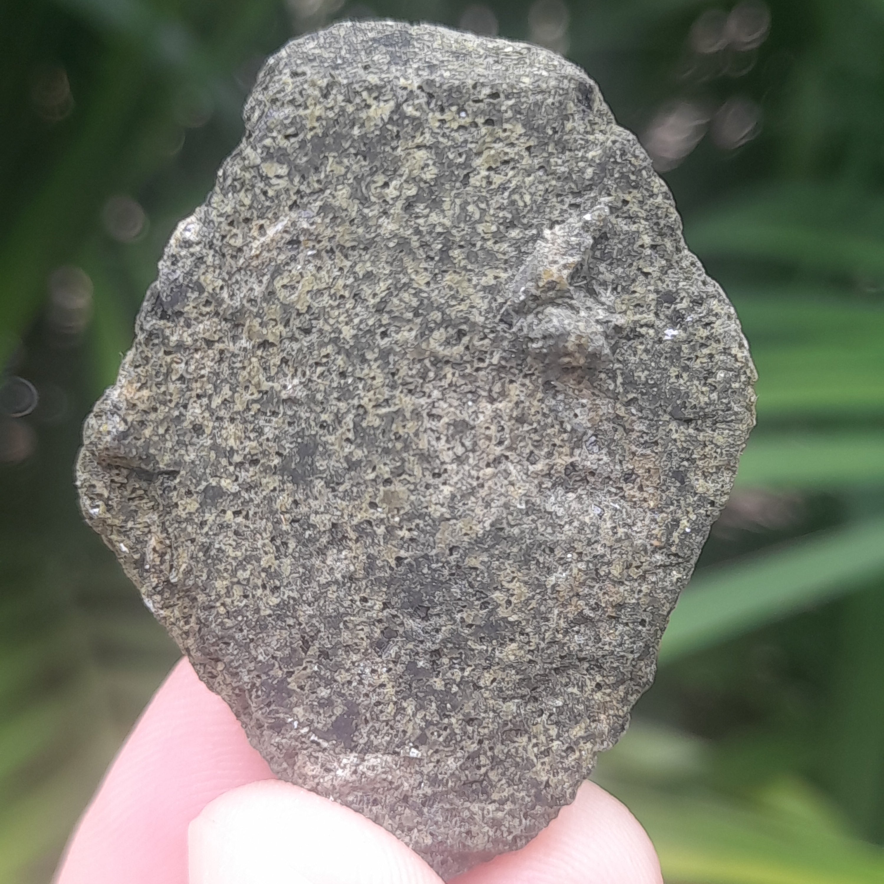 Epidote