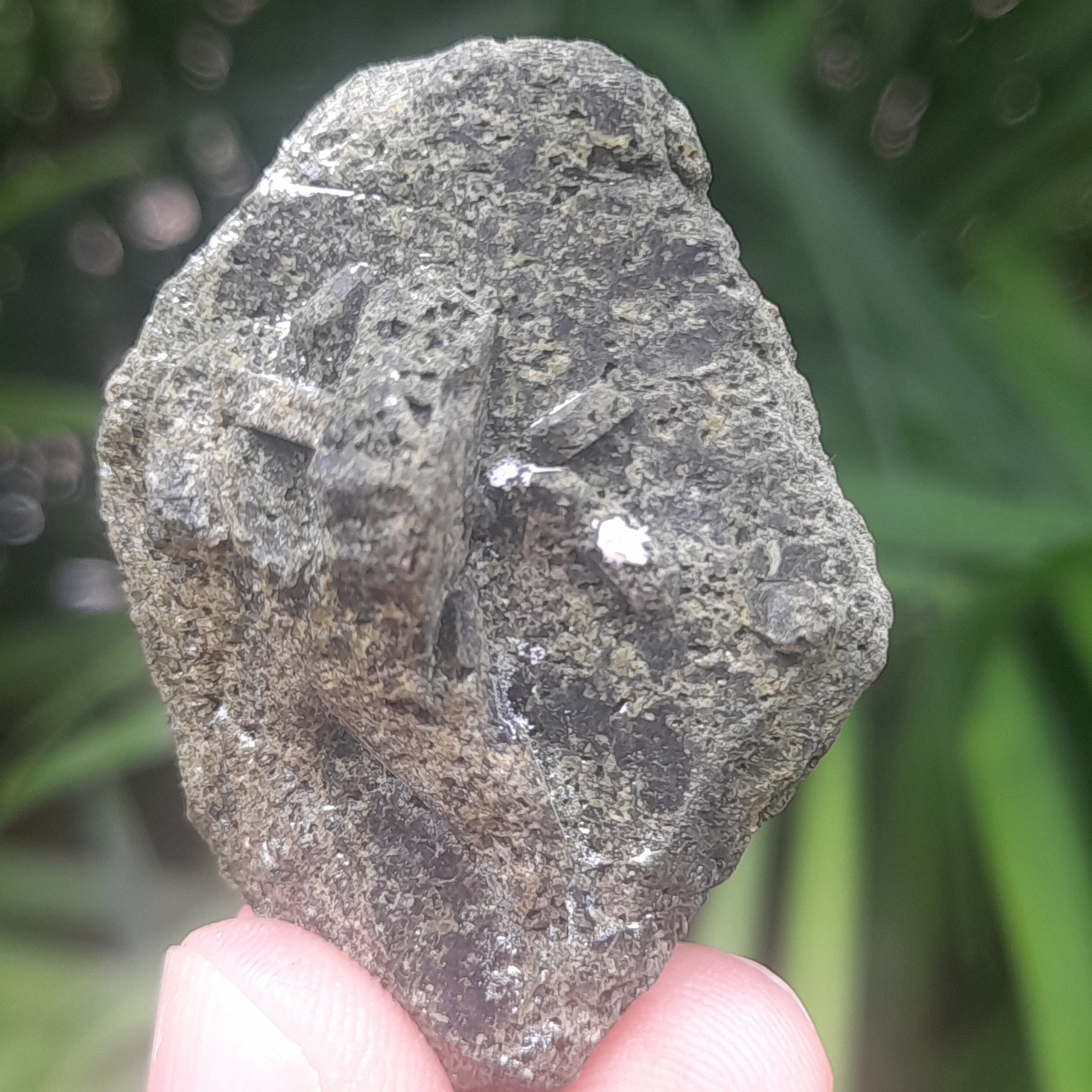 Epidote