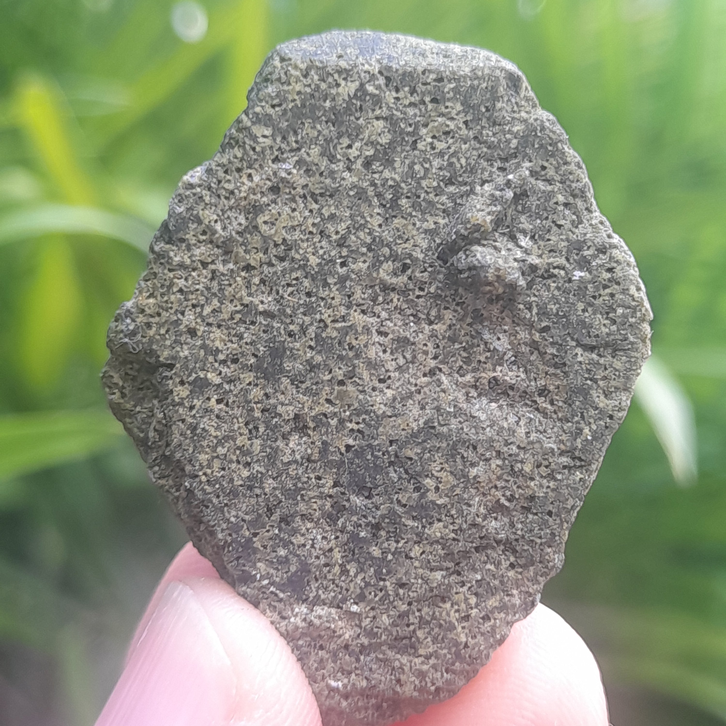 Epidote