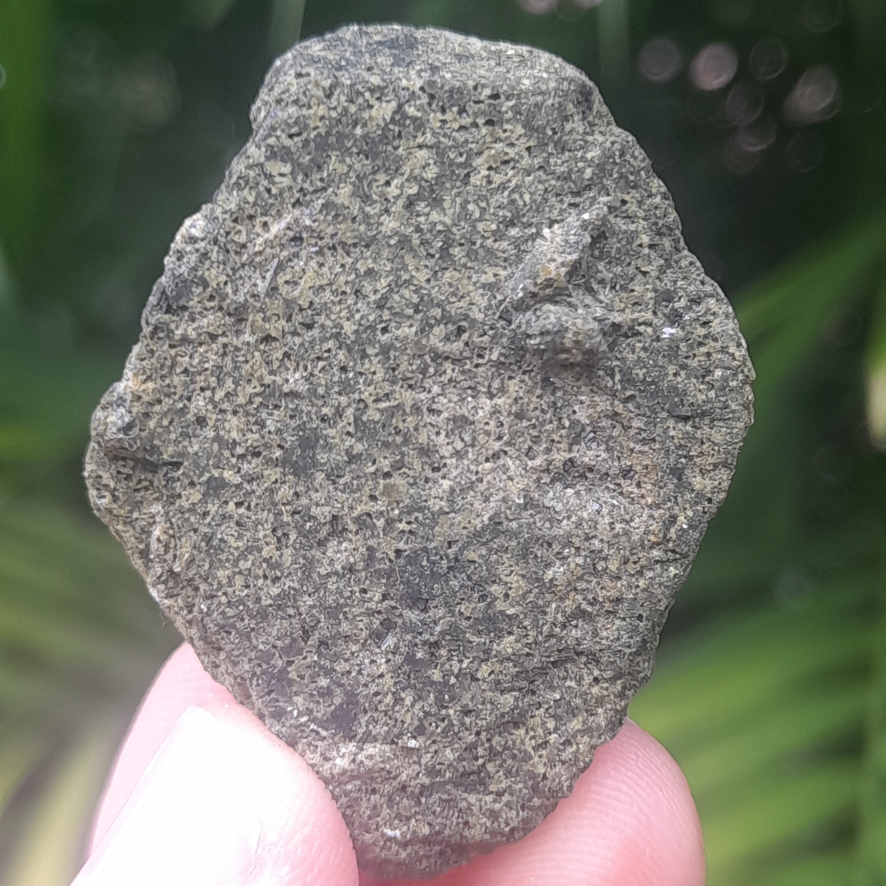 Epidote