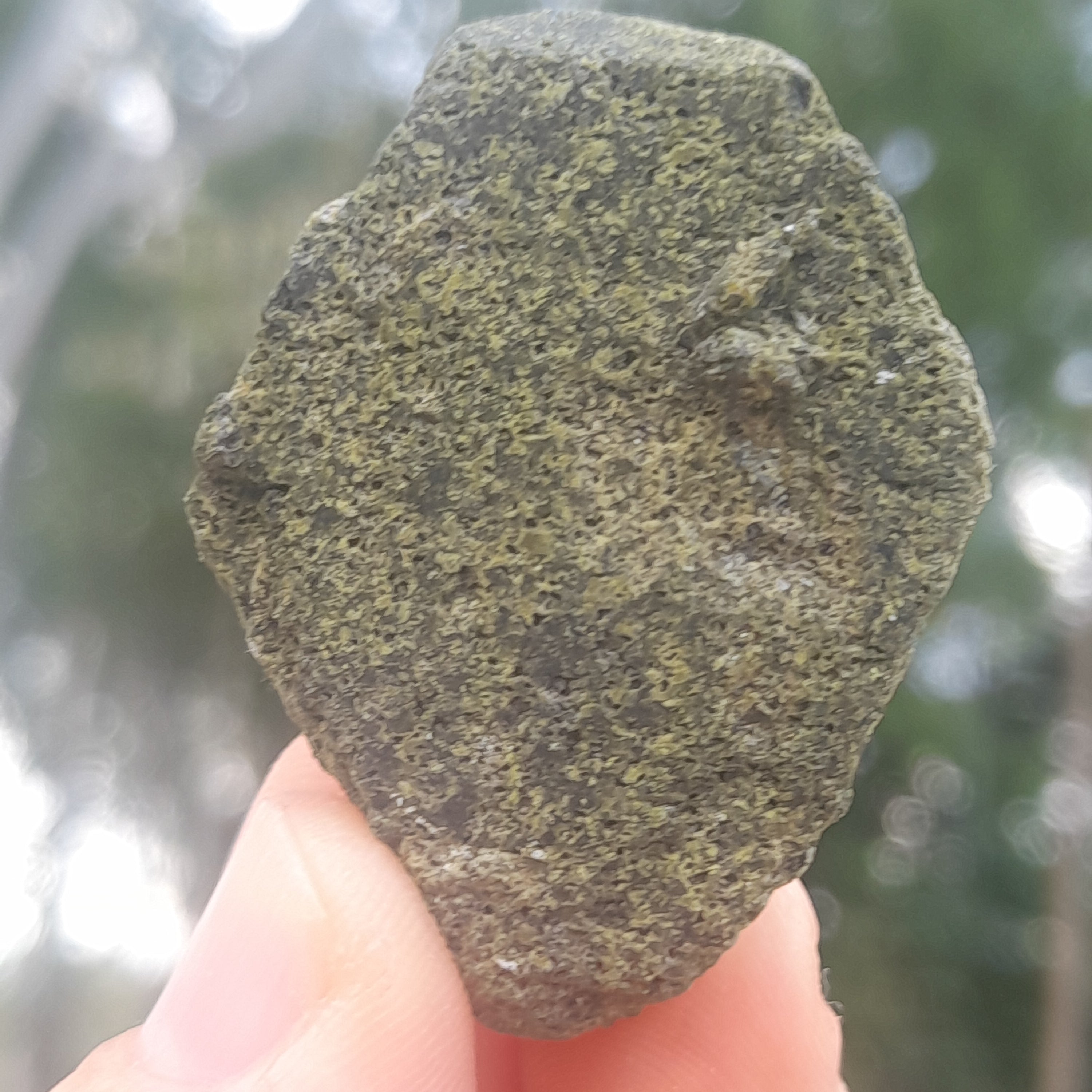 Epidote