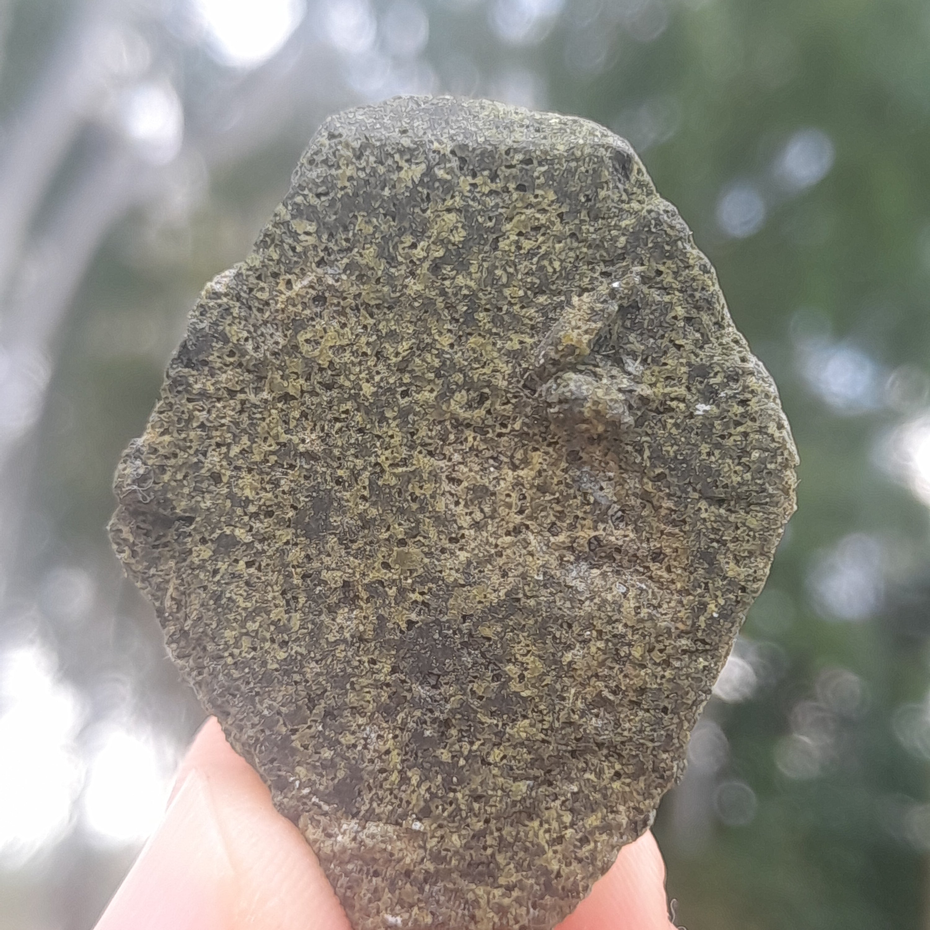 Epidote