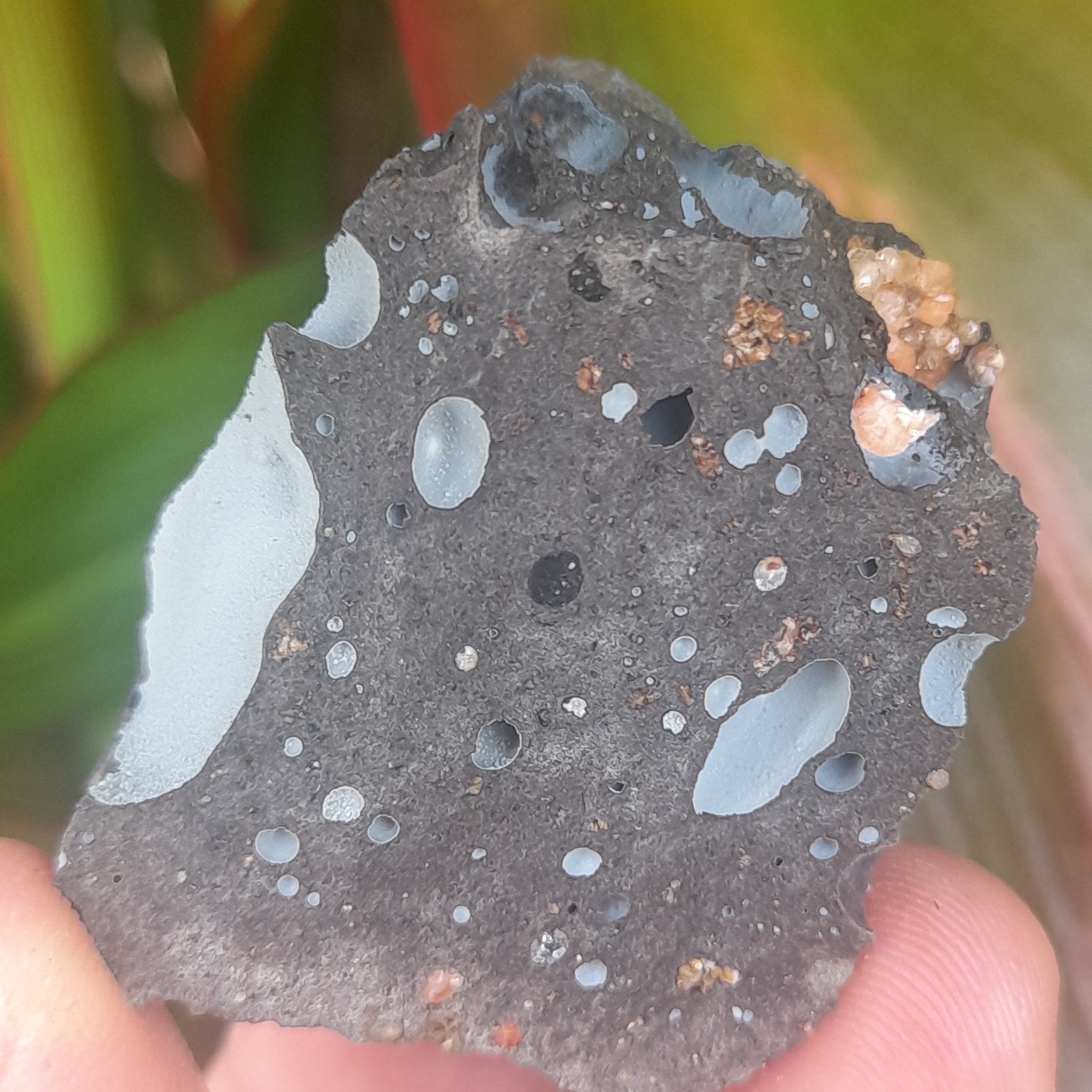 Gmelinite. Australia