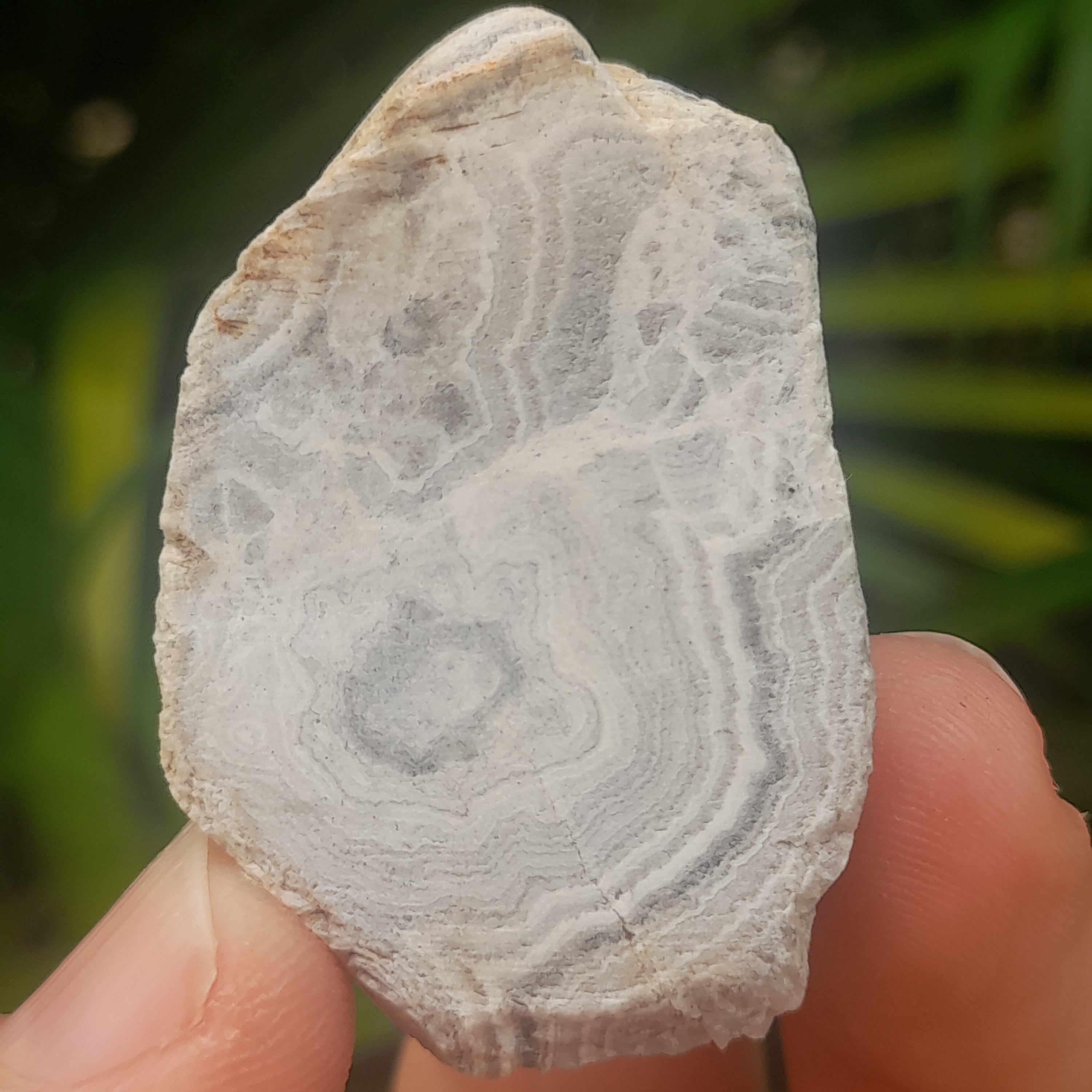 Agate