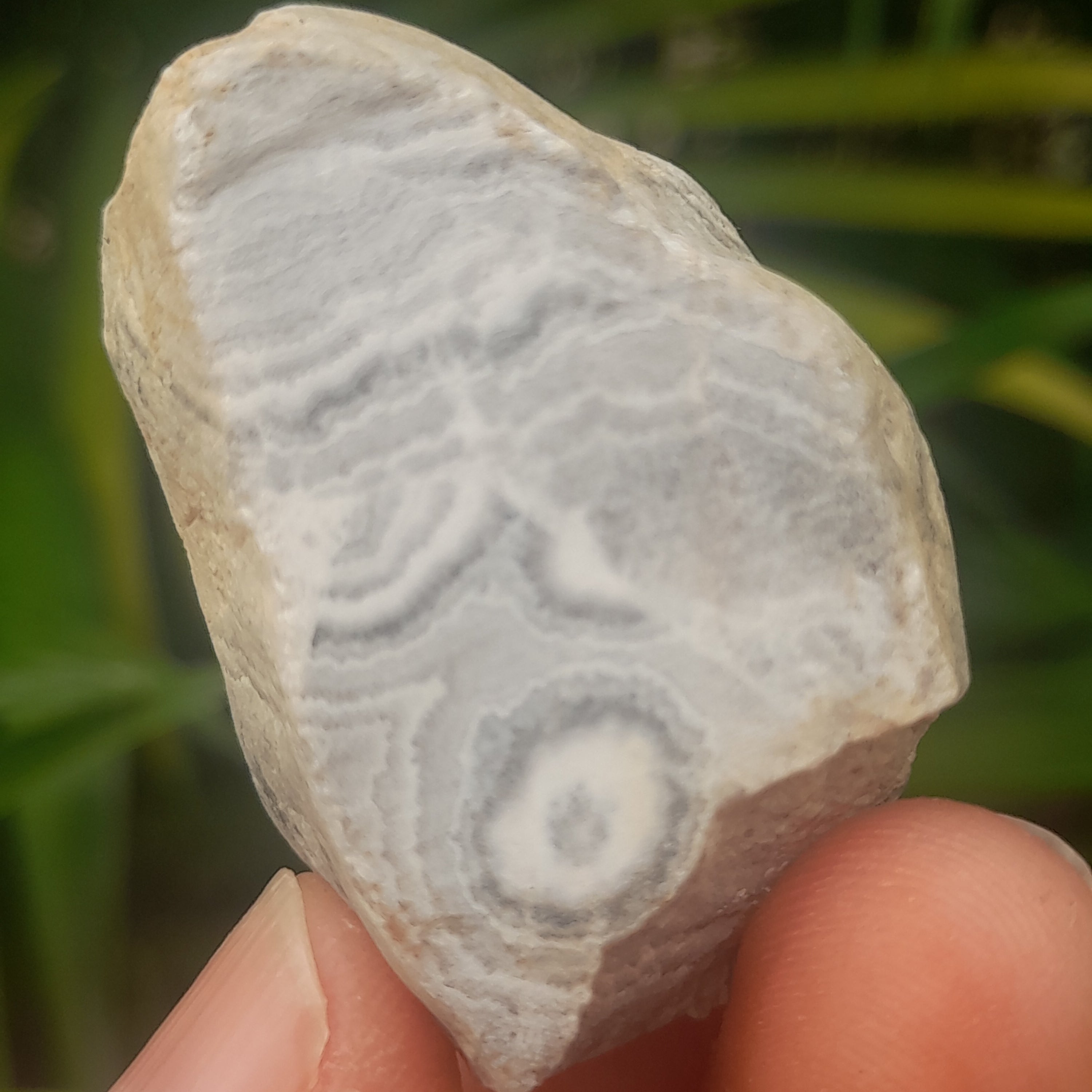 Agate