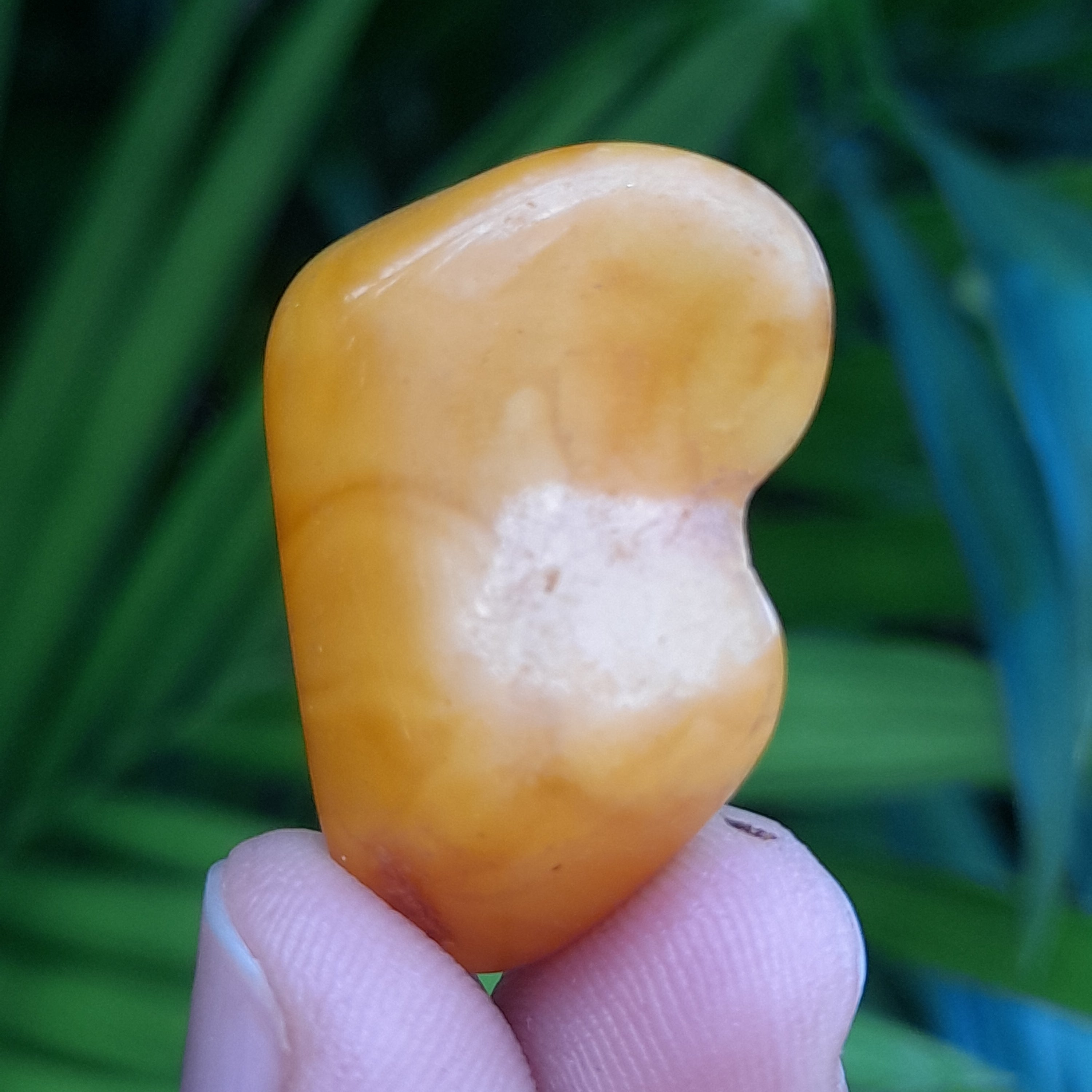 Amber, Baltic
