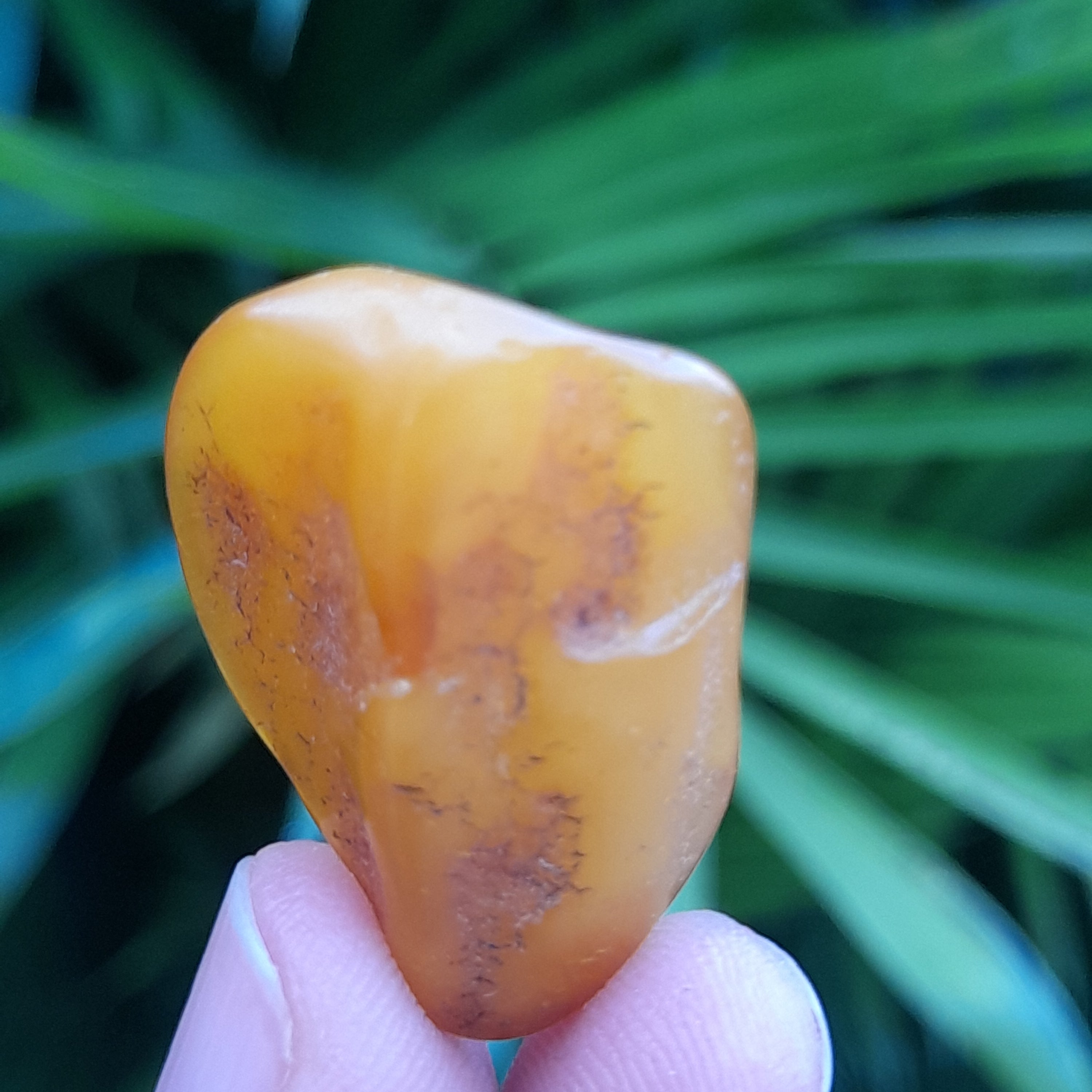 Amber, Baltic
