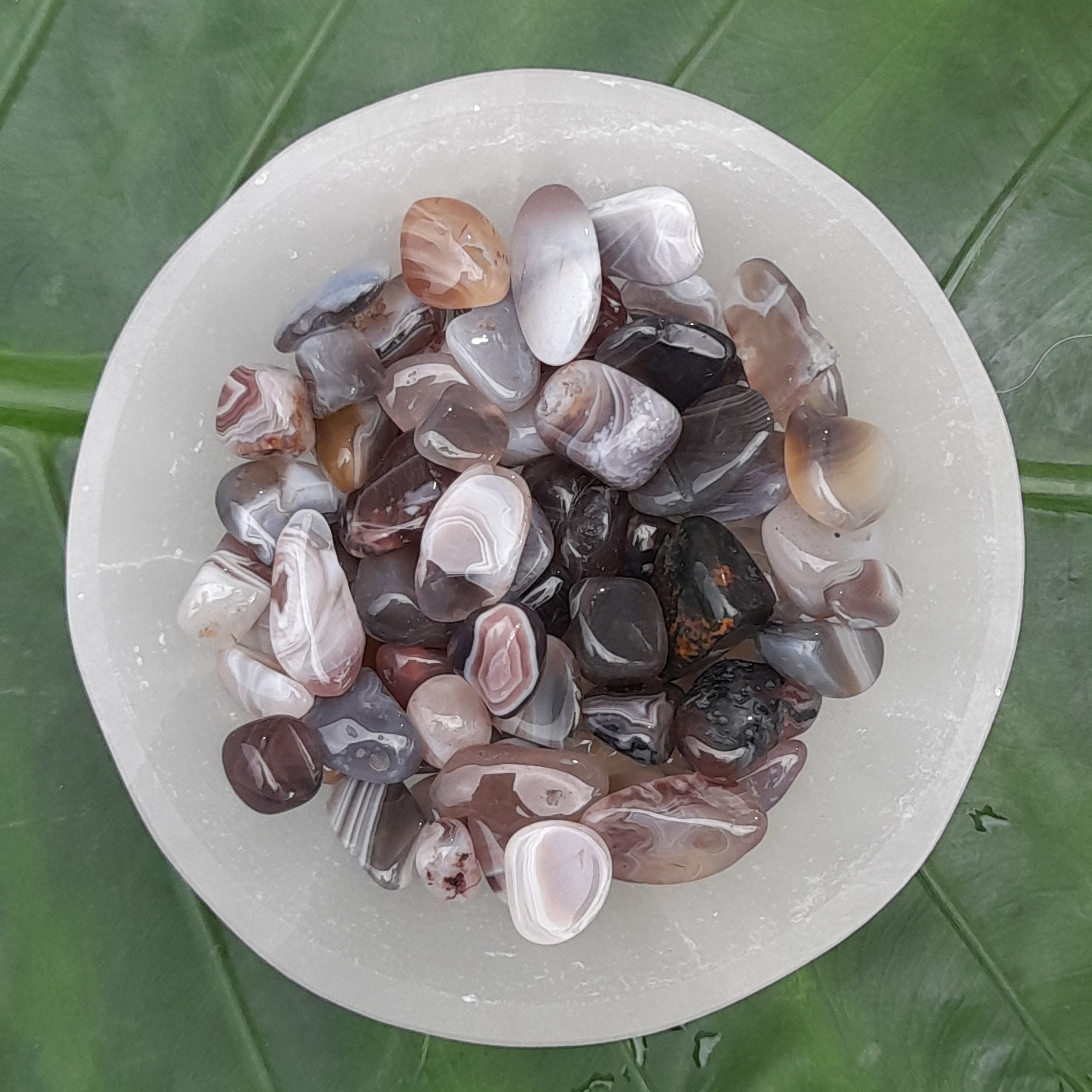 Botswana Agate Chips 50g