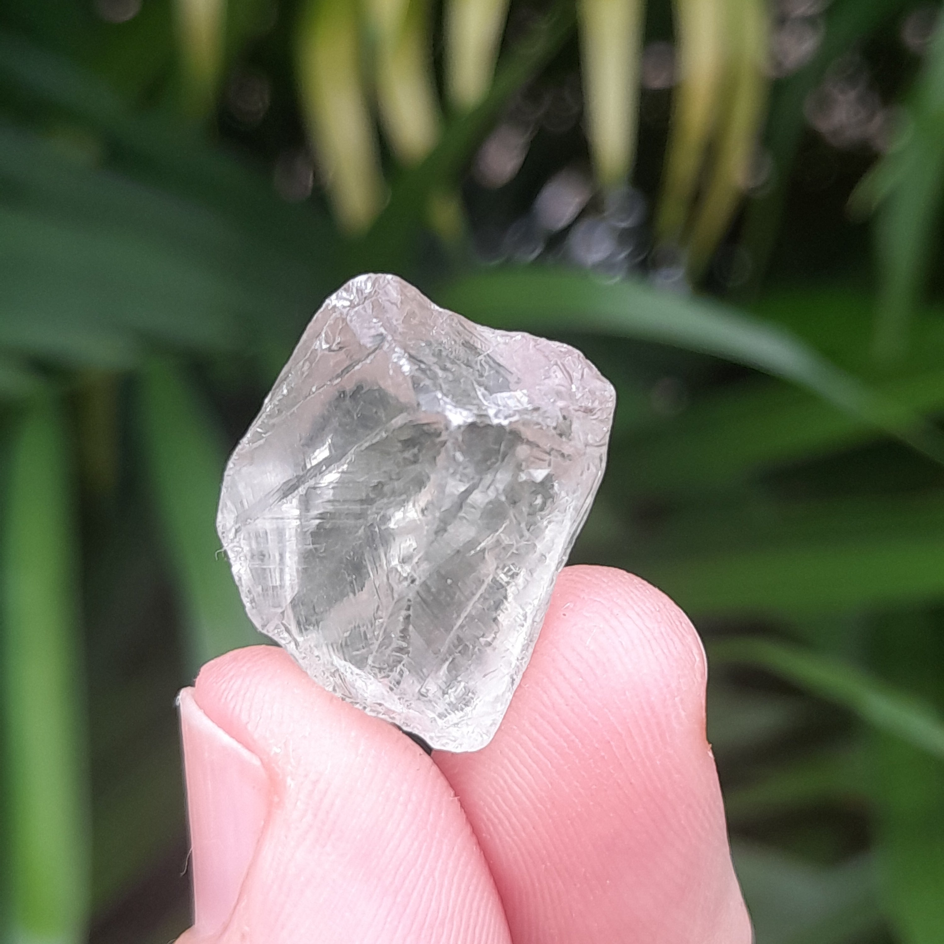 Prasiolite
