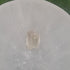 Prasiolite