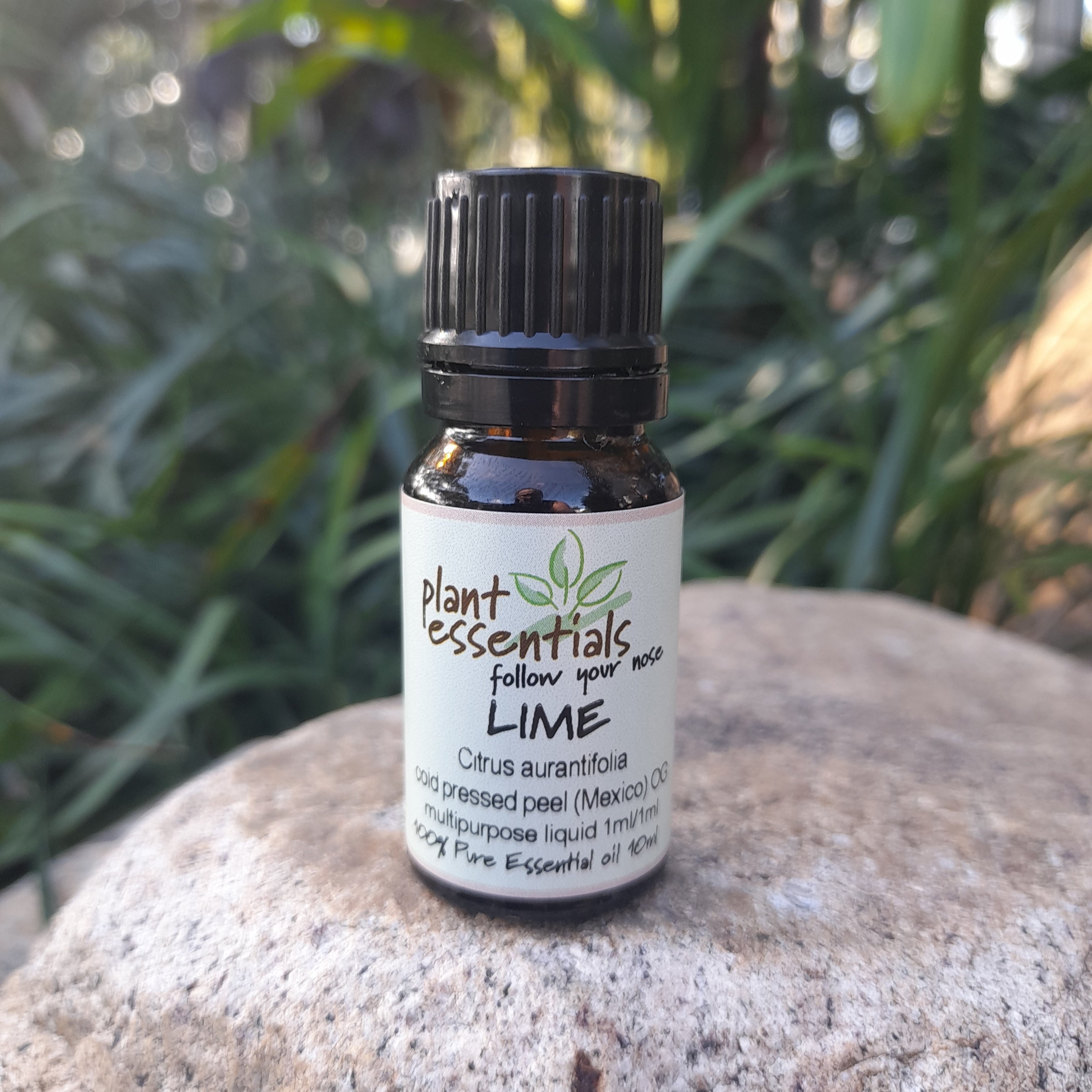 Lime Essential Oil