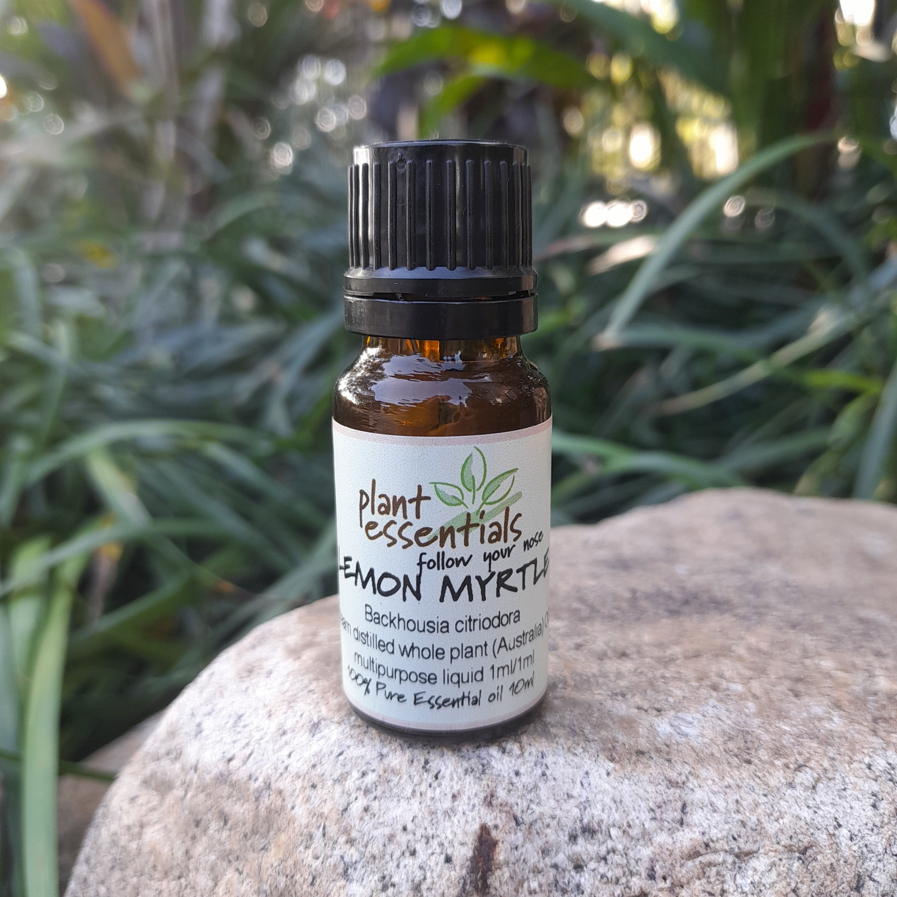 Lemon Myrtle Essential Oil