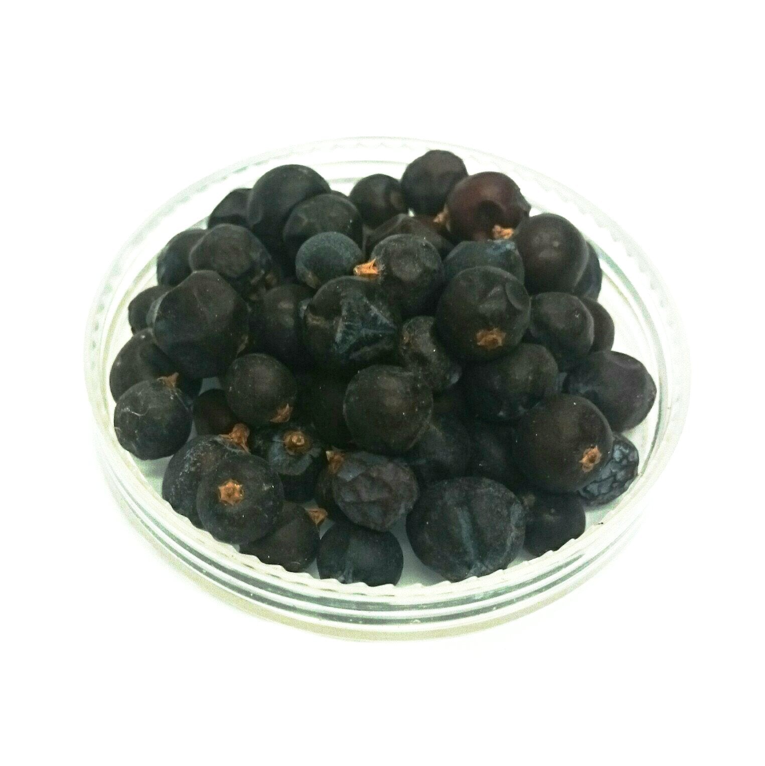 Juniper Berry