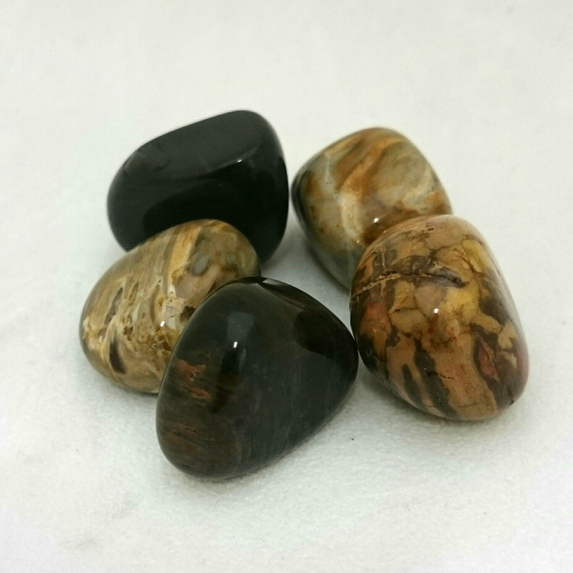 Petrified Wood ~ Tumbled stone