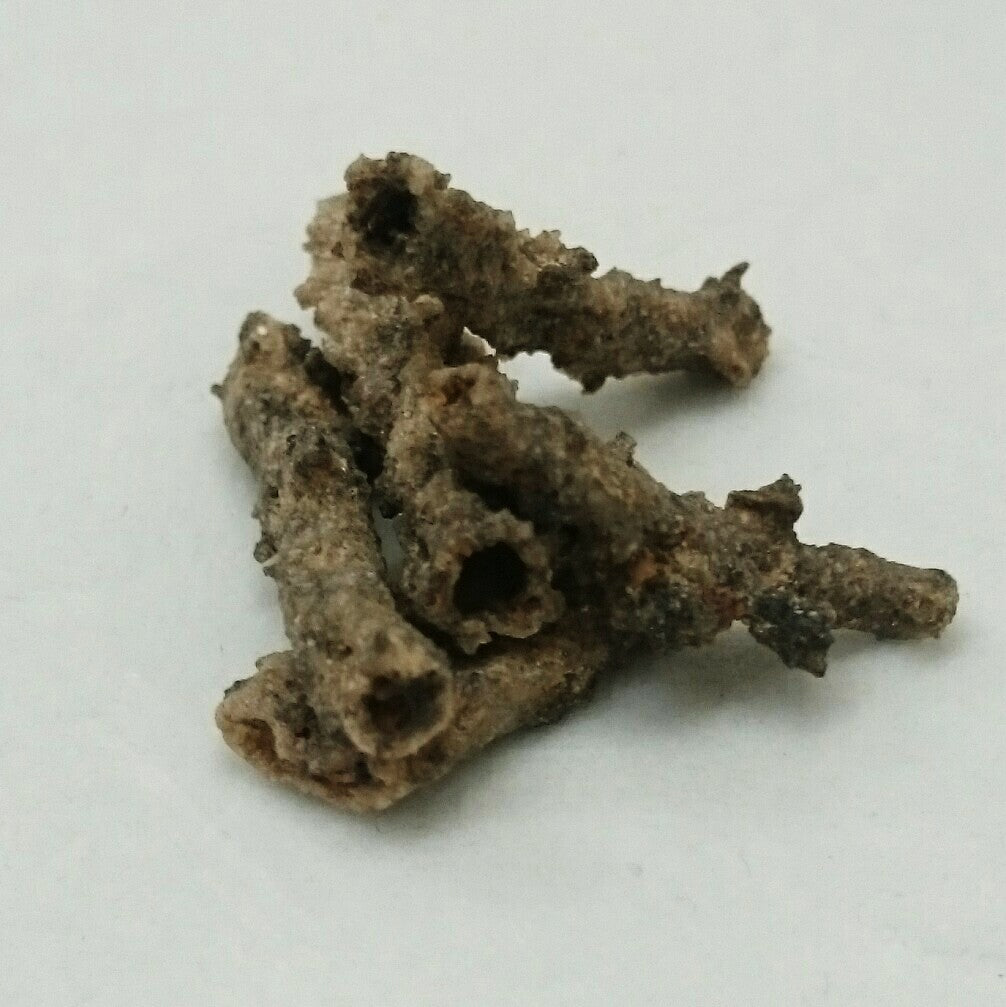 Fulgurite ~ Unpolished small