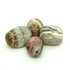 Crazy Lace Agate ~ Tumbled stone