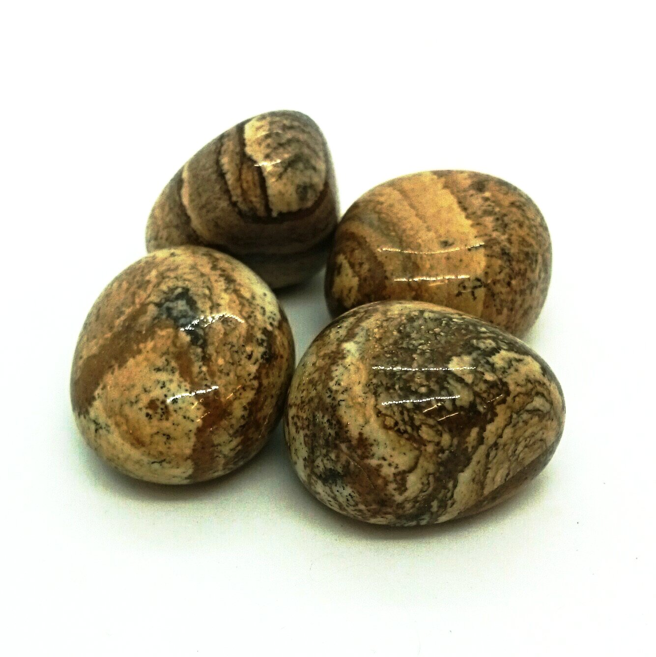 Picture Jasper ~ Tumbled stone