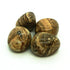 Picture Jasper ~ Tumbled stone