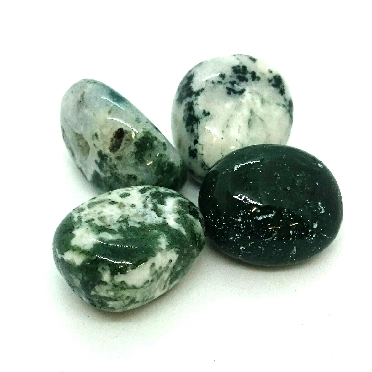 Tree Agate ~ Tumbled stone