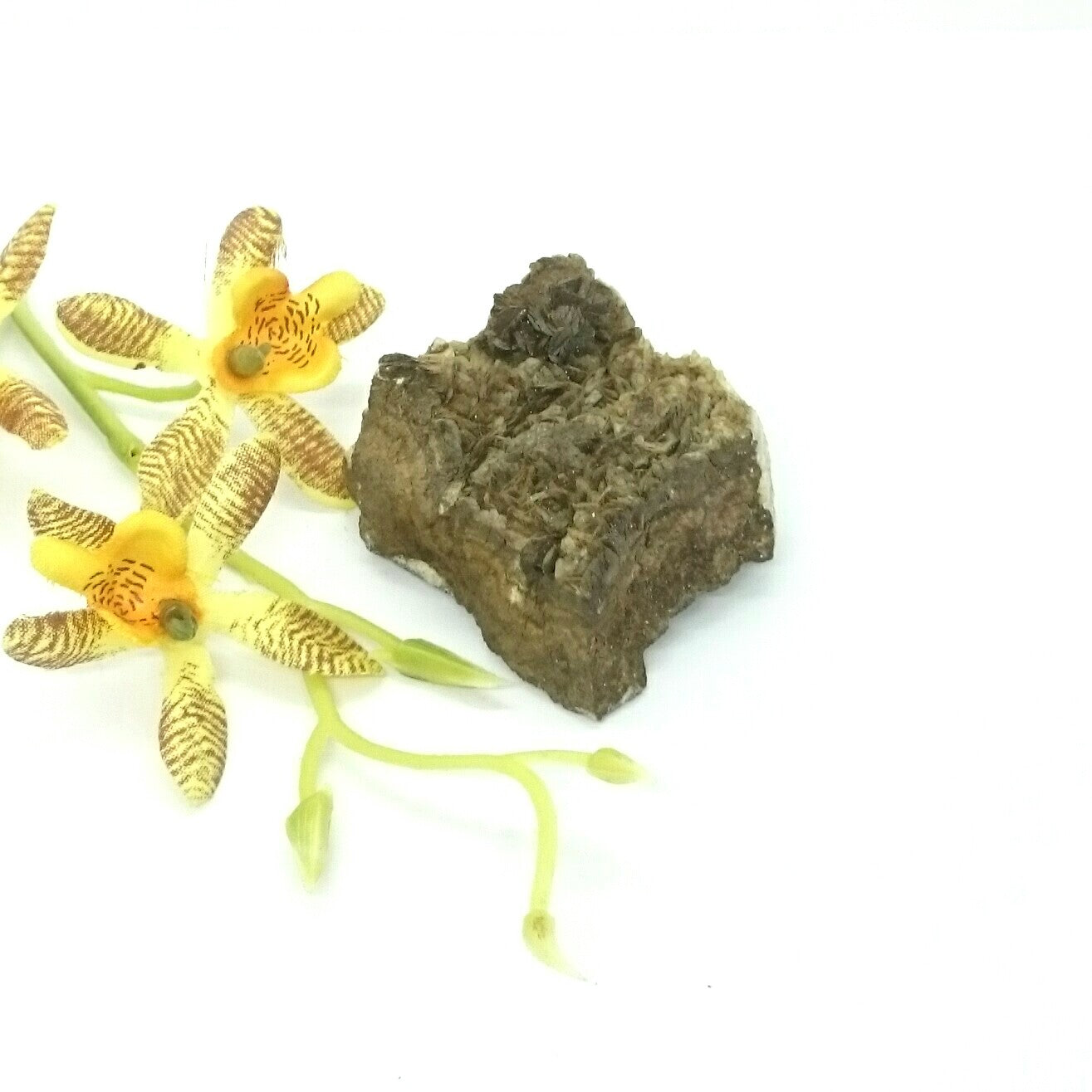 Siderite & Galena