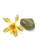 Crop Circle Stone