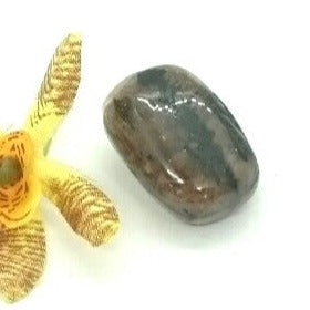 Chiastolite