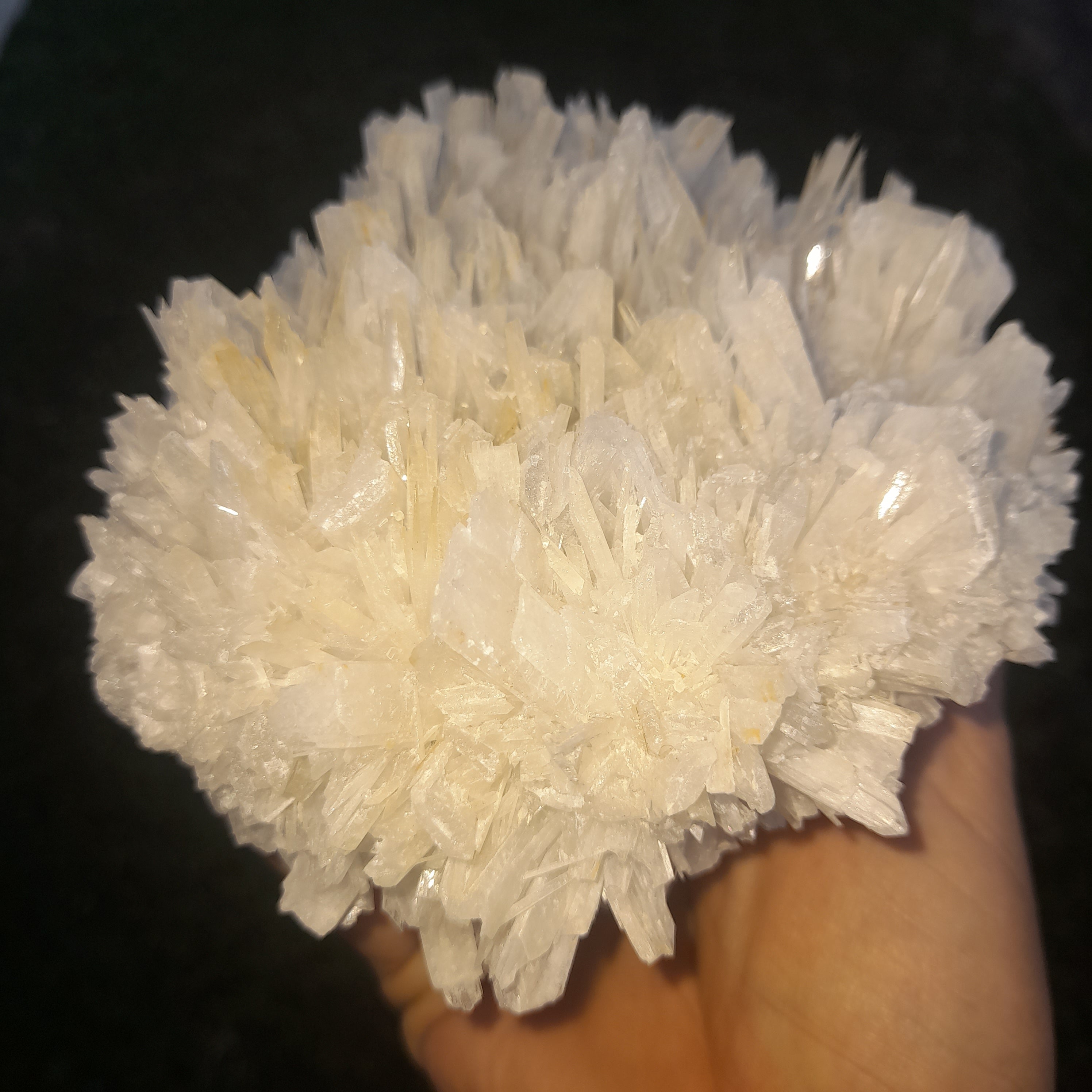 Selenite ~ Cluster 1.48kg