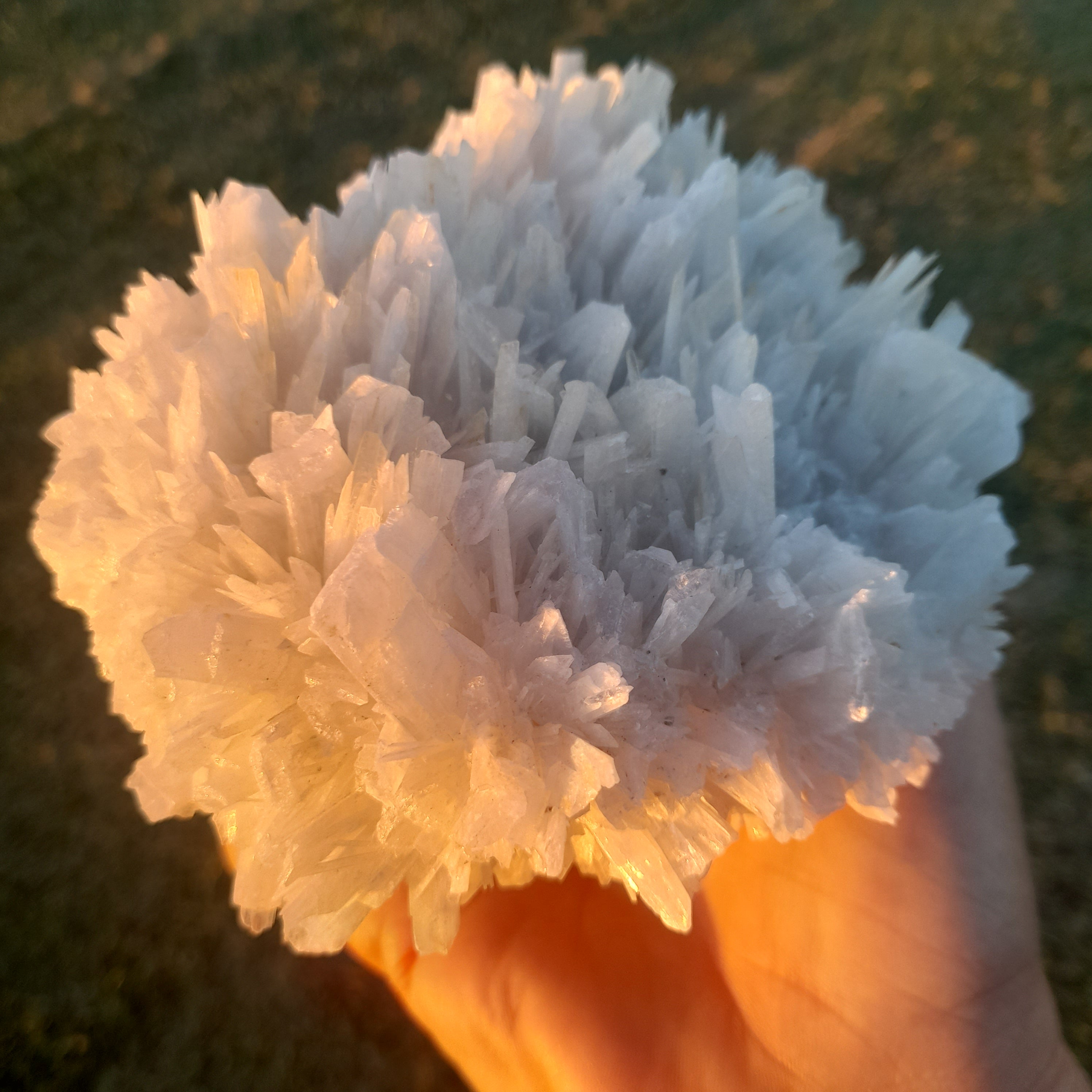Selenite ~ Cluster 1.48kg