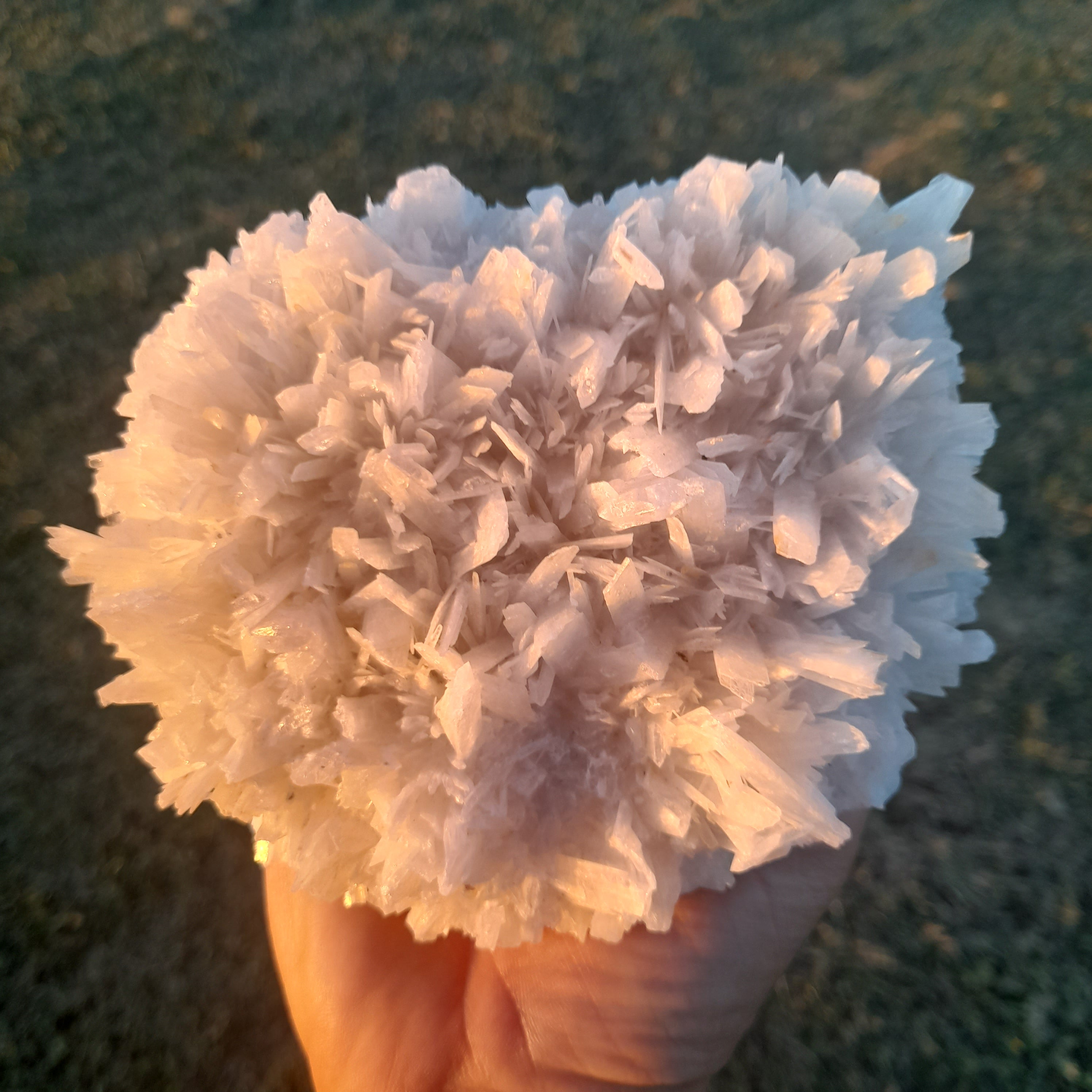 Selenite ~ Cluster 1.48kg