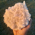 Selenite ~ Cluster 1.48kg