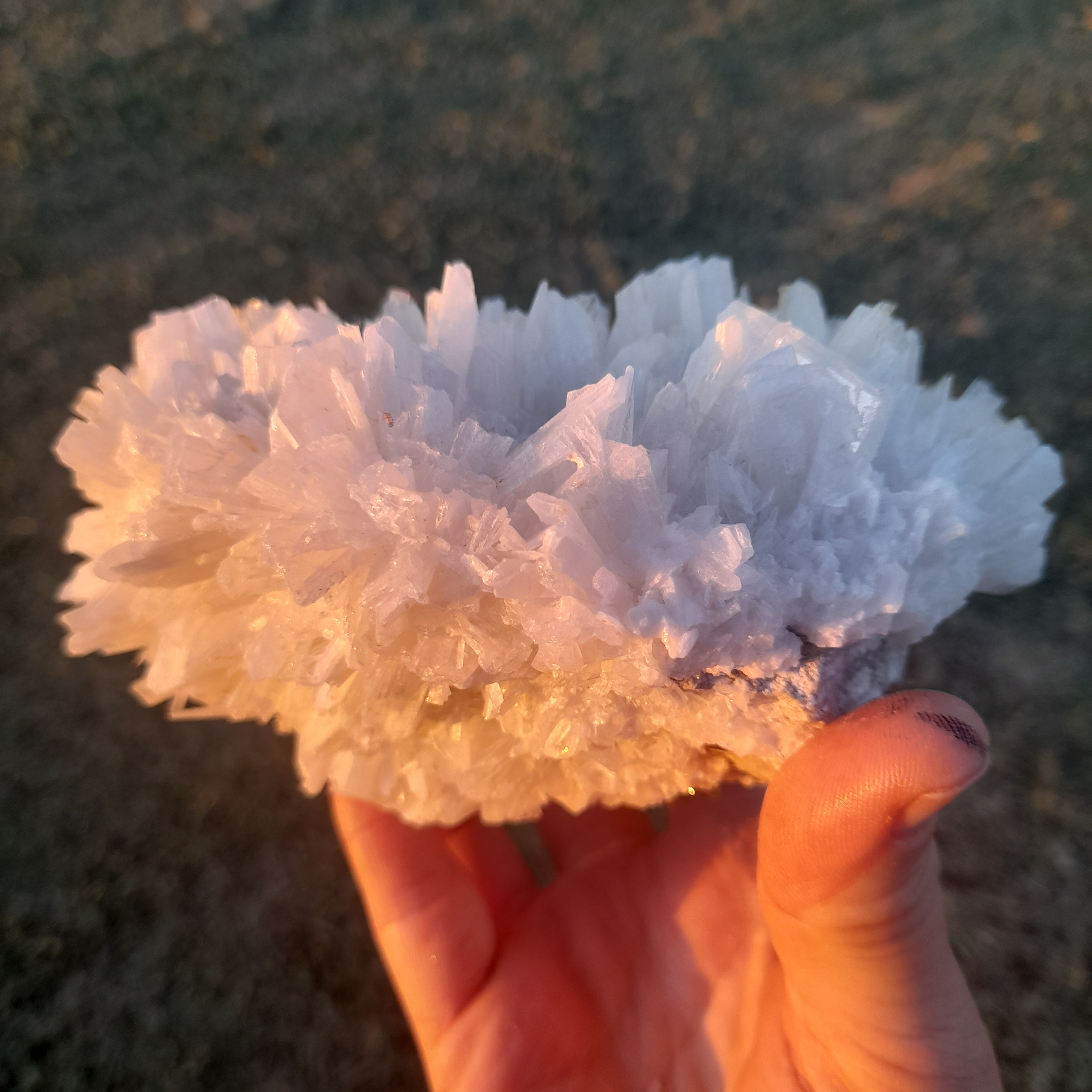 Selenite ~ Cluster 1.48kg
