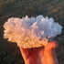 Selenite ~ Cluster 1.48kg