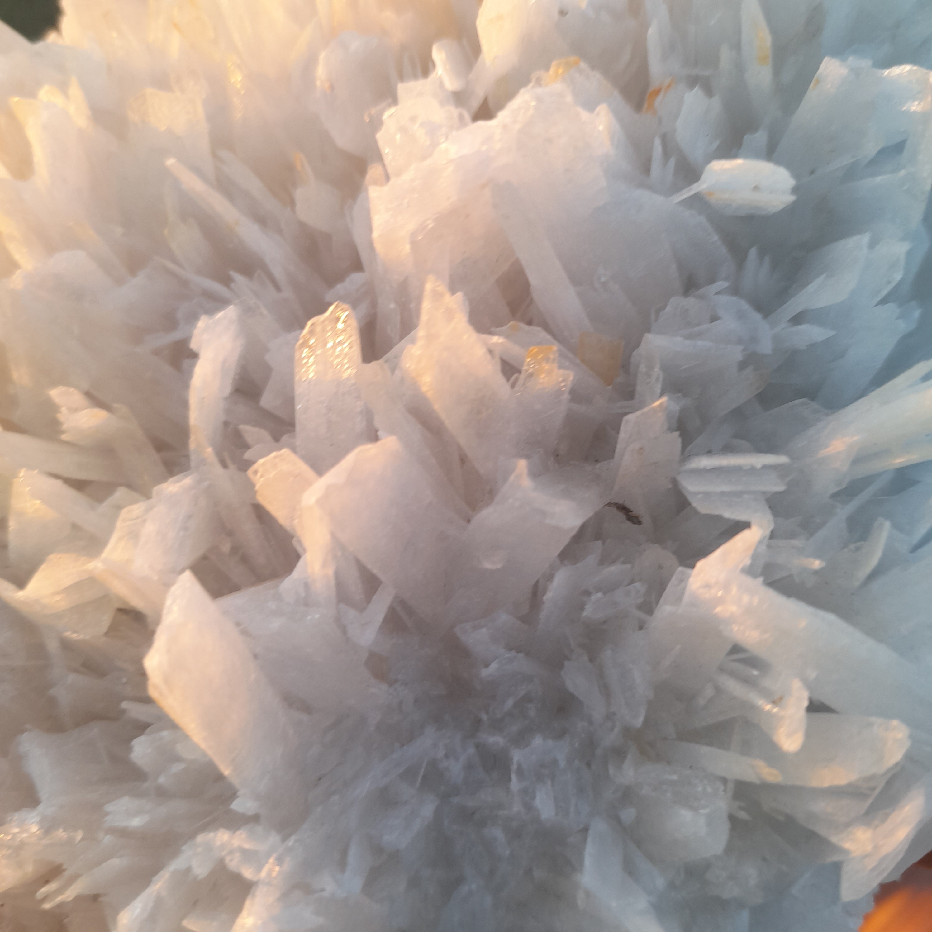 Selenite ~ Cluster 1.48kg