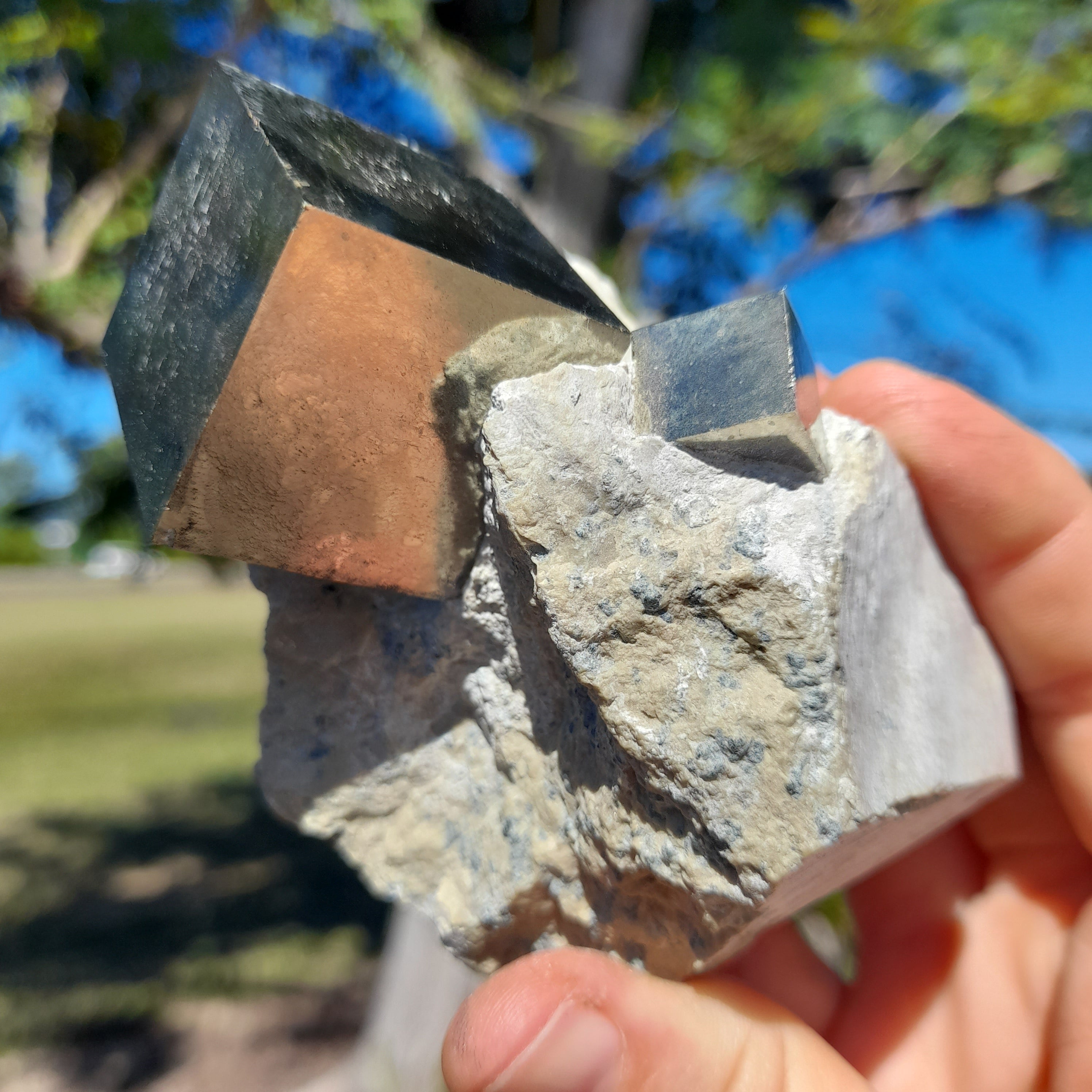 Pyrite in matrix ~ Natural Cube, Spain