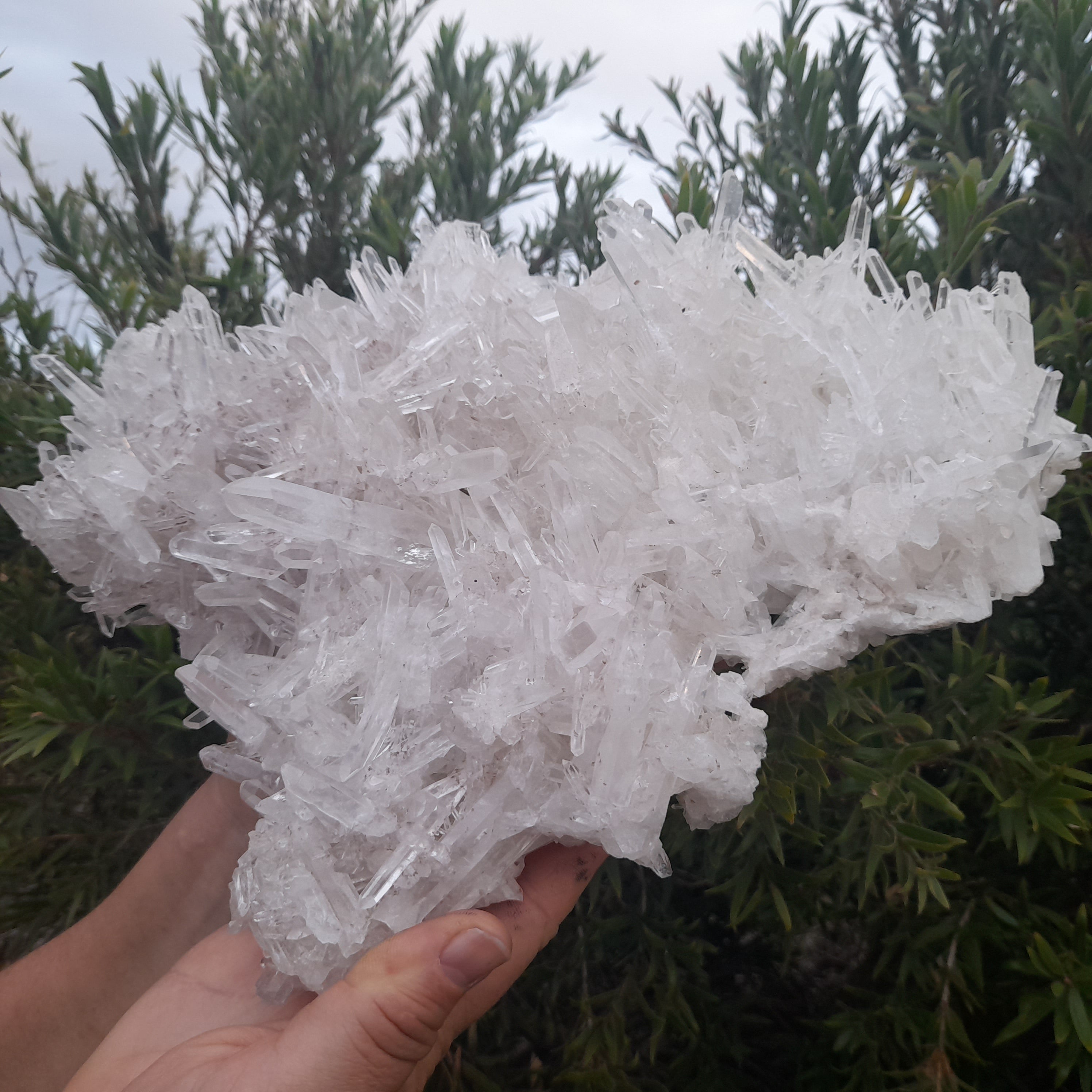 Clear Quartz - Needle Cluster 3.21kg PICK UP ONLY