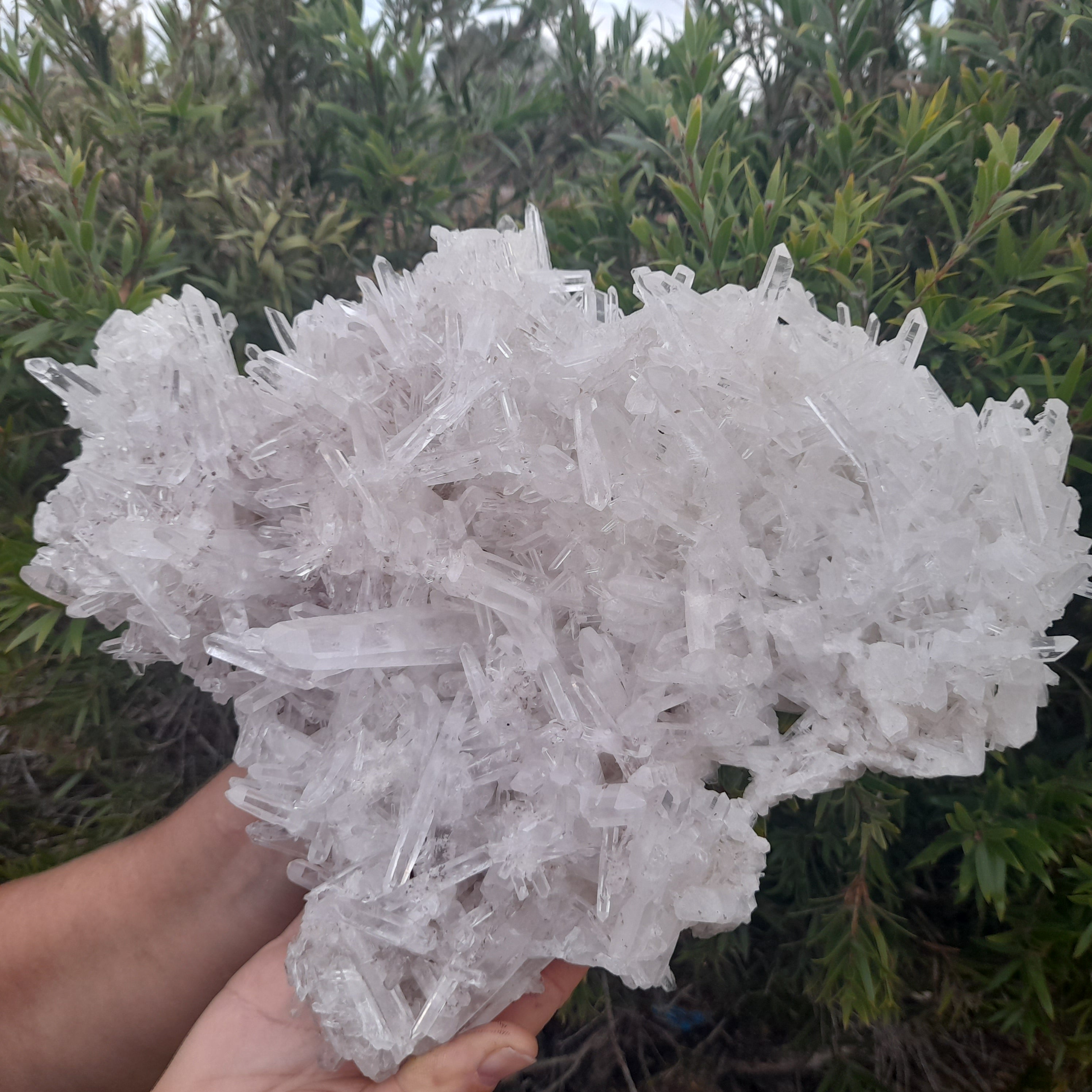 Clear Quartz - Needle Cluster 3.21kg PICK UP ONLY