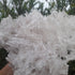Clear Quartz - Needle Cluster 3.21kg PICK UP ONLY