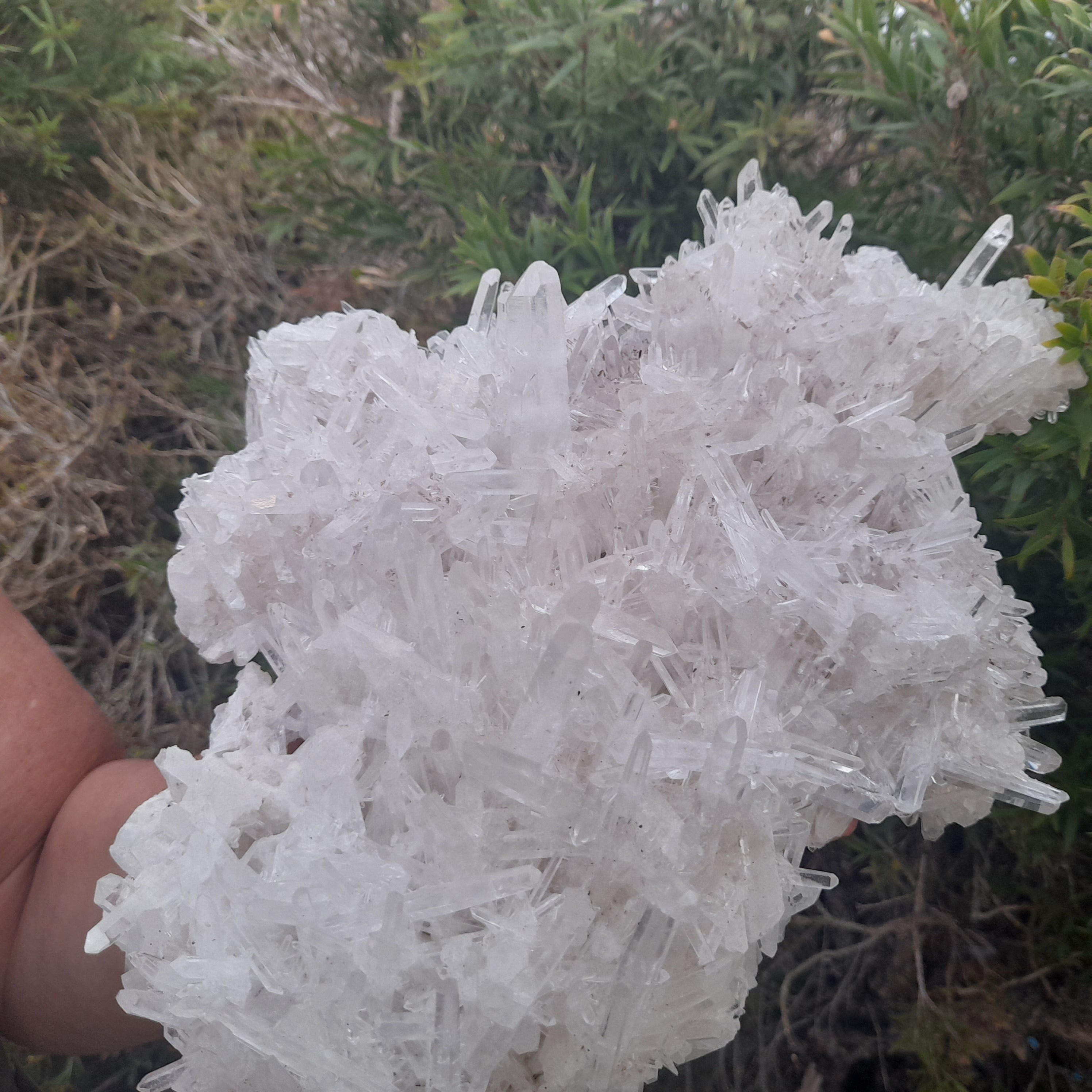 Clear Quartz - Needle Cluster 3.21kg PICK UP ONLY