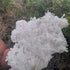 Clear Quartz - Needle Cluster 3.21kg PICK UP ONLY